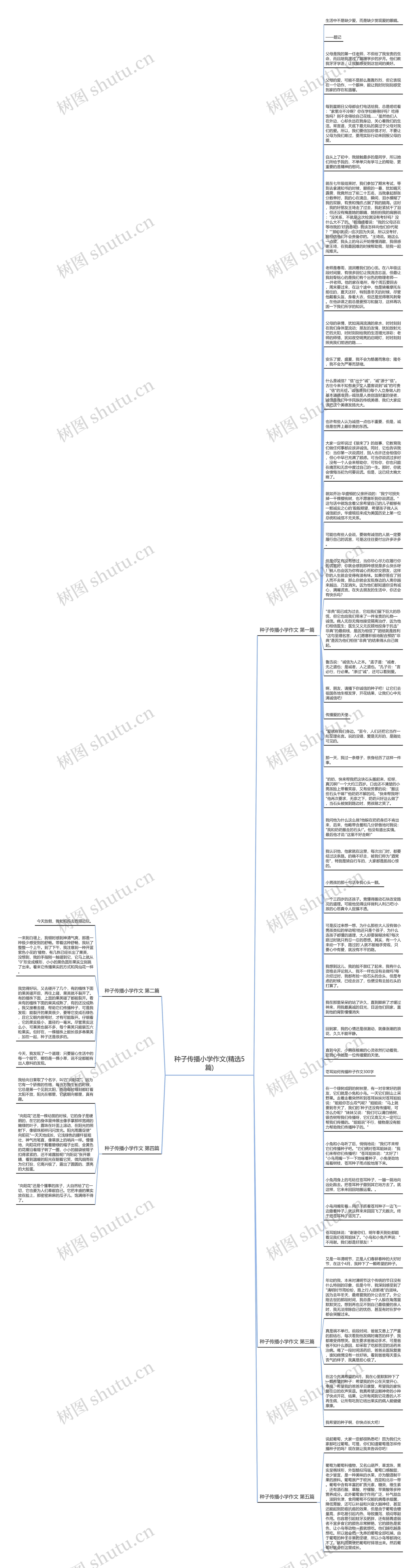种子传播小学作文(精选5篇)思维导图