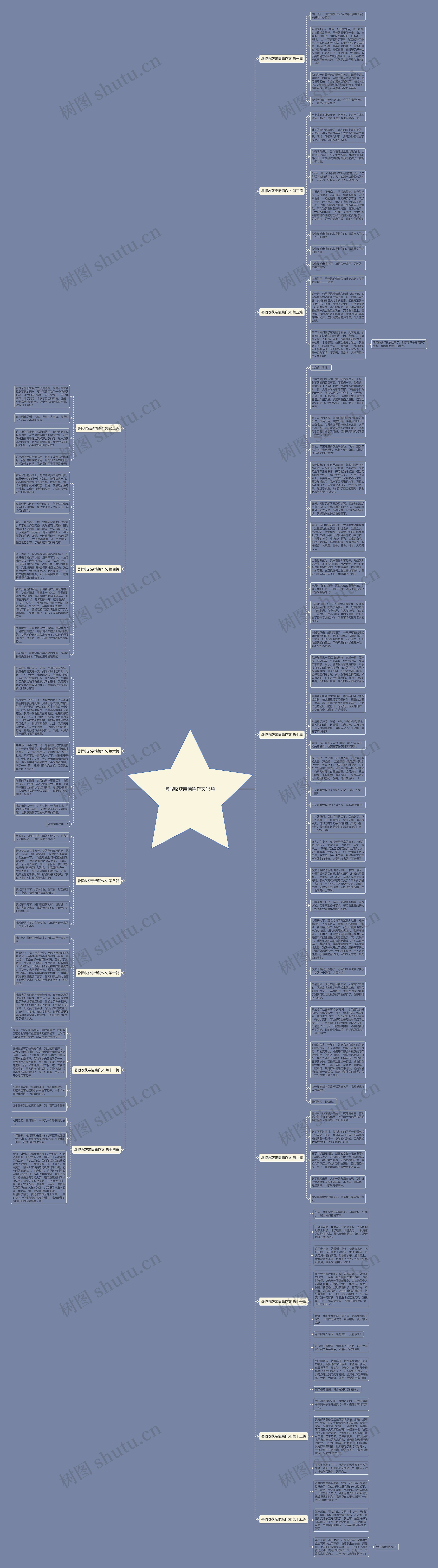 暑假收获亲情篇作文15篇思维导图