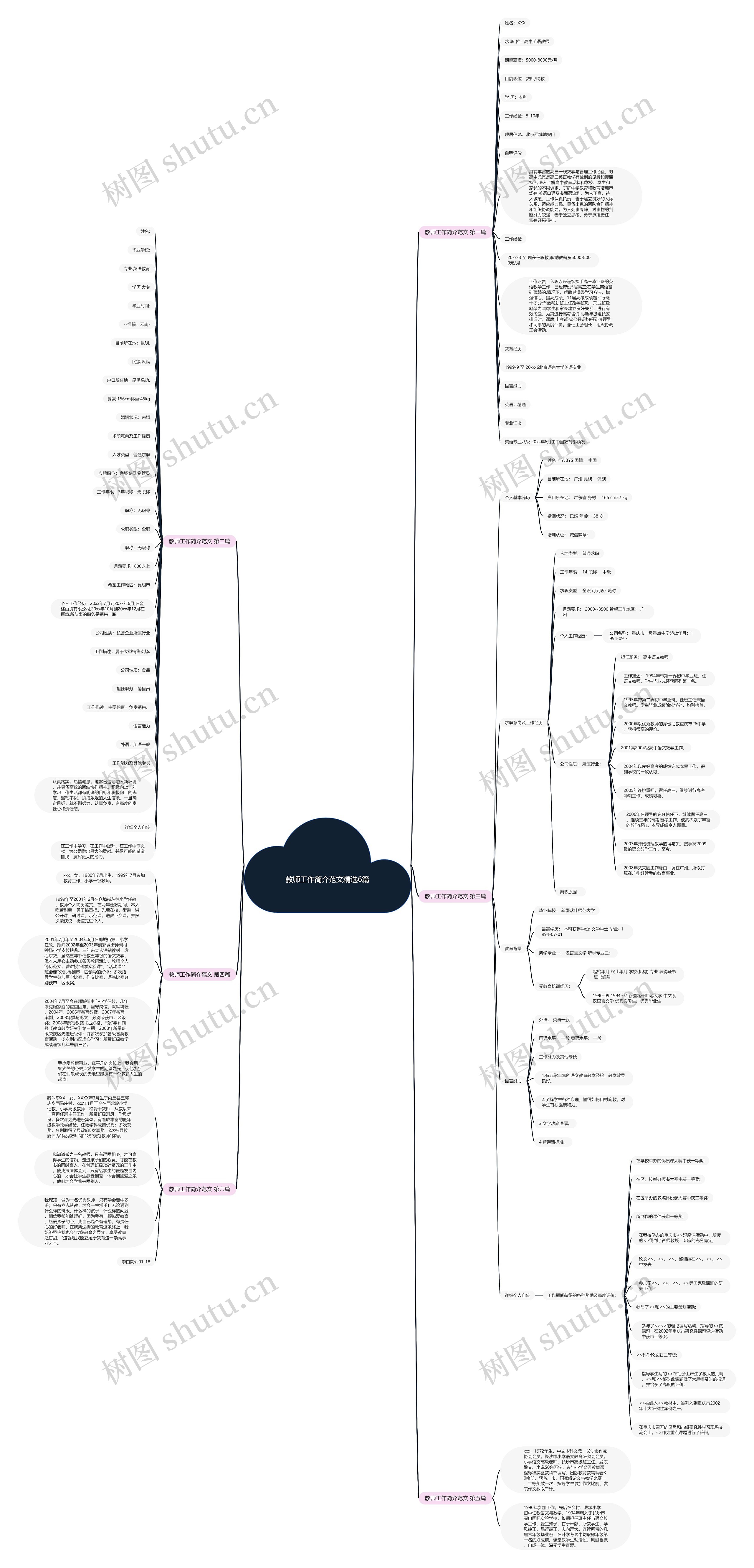 教师工作简介范文精选6篇思维导图