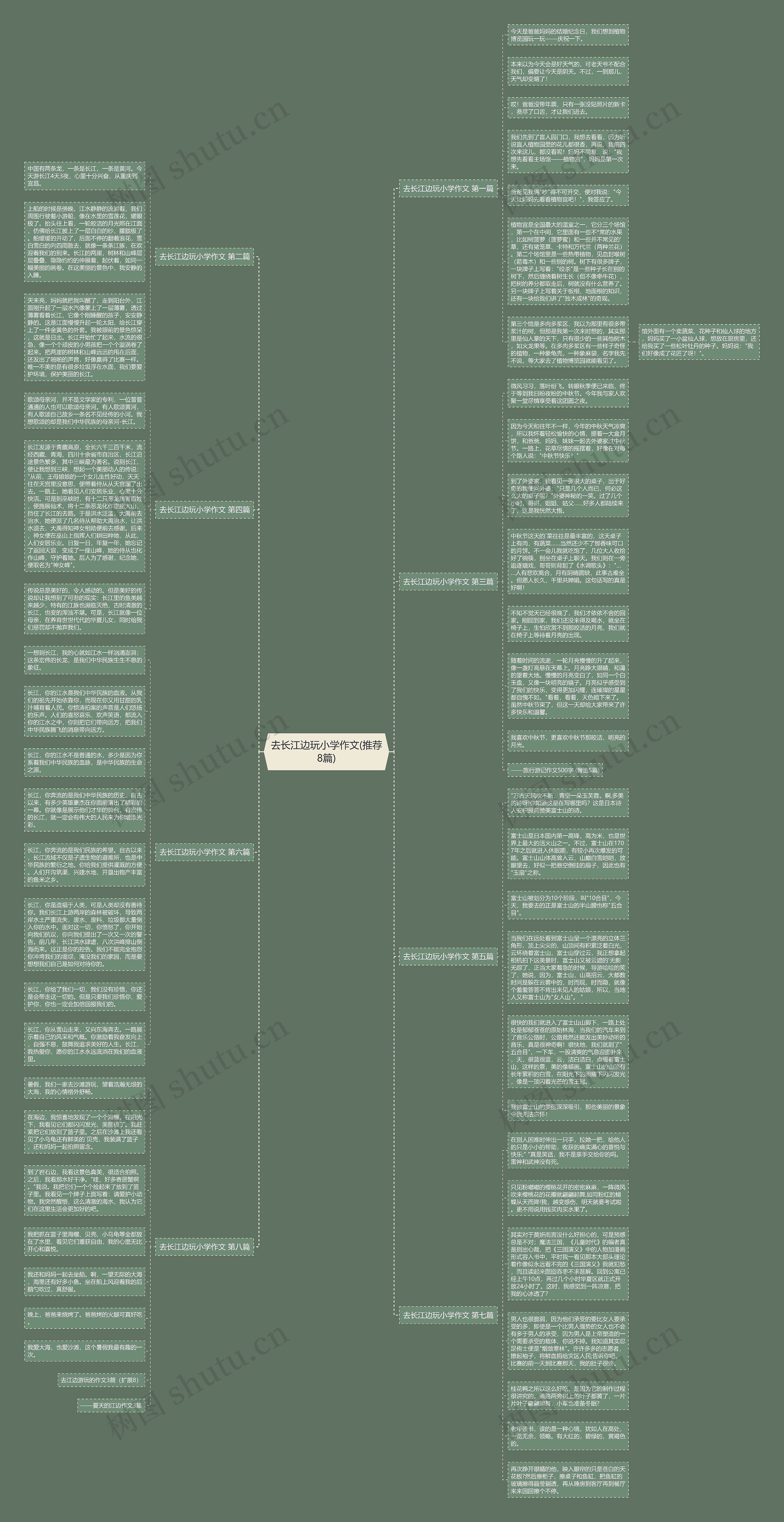 去长江边玩小学作文(推荐8篇)思维导图