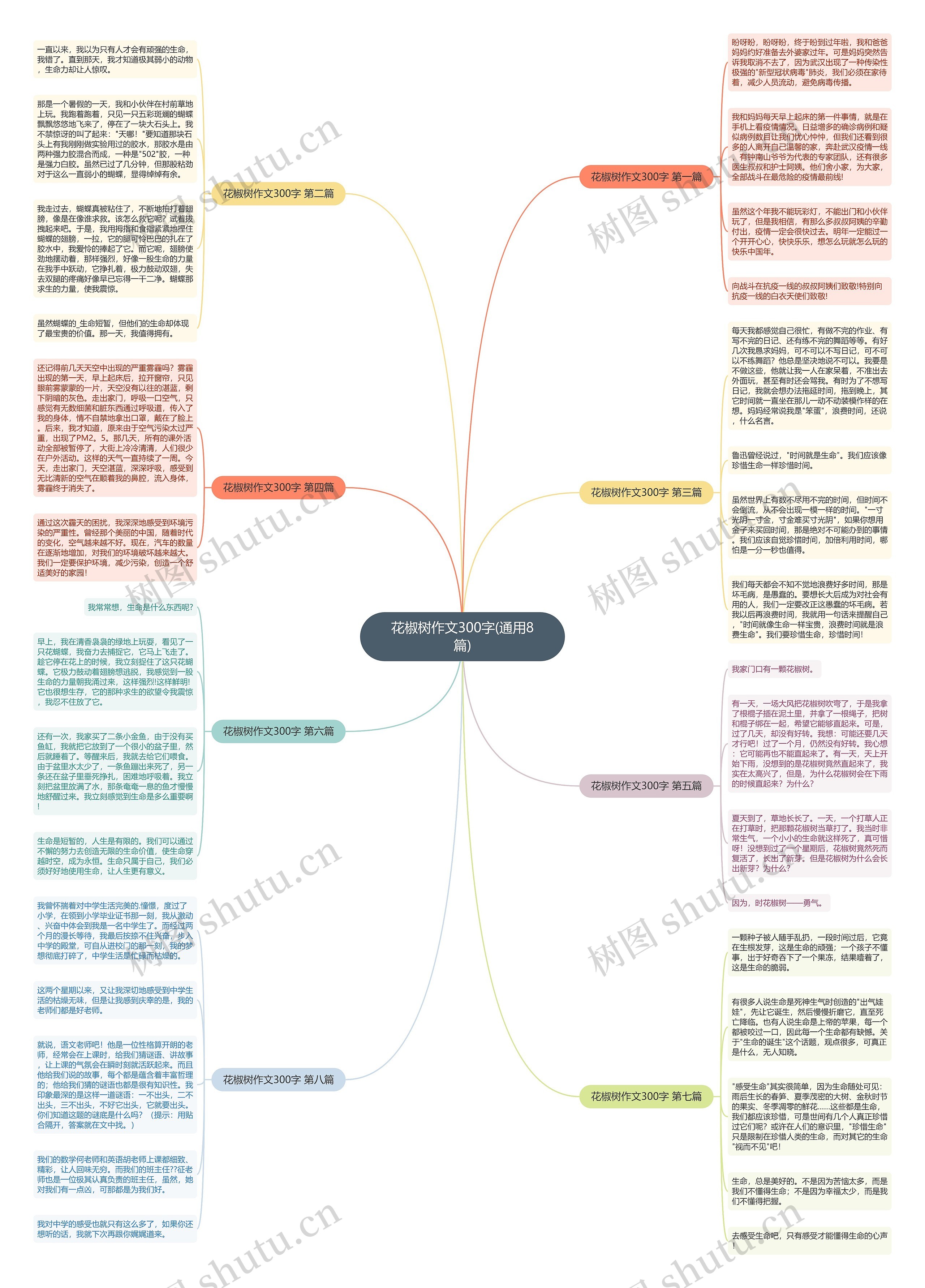 花椒树作文300字(通用8篇)思维导图