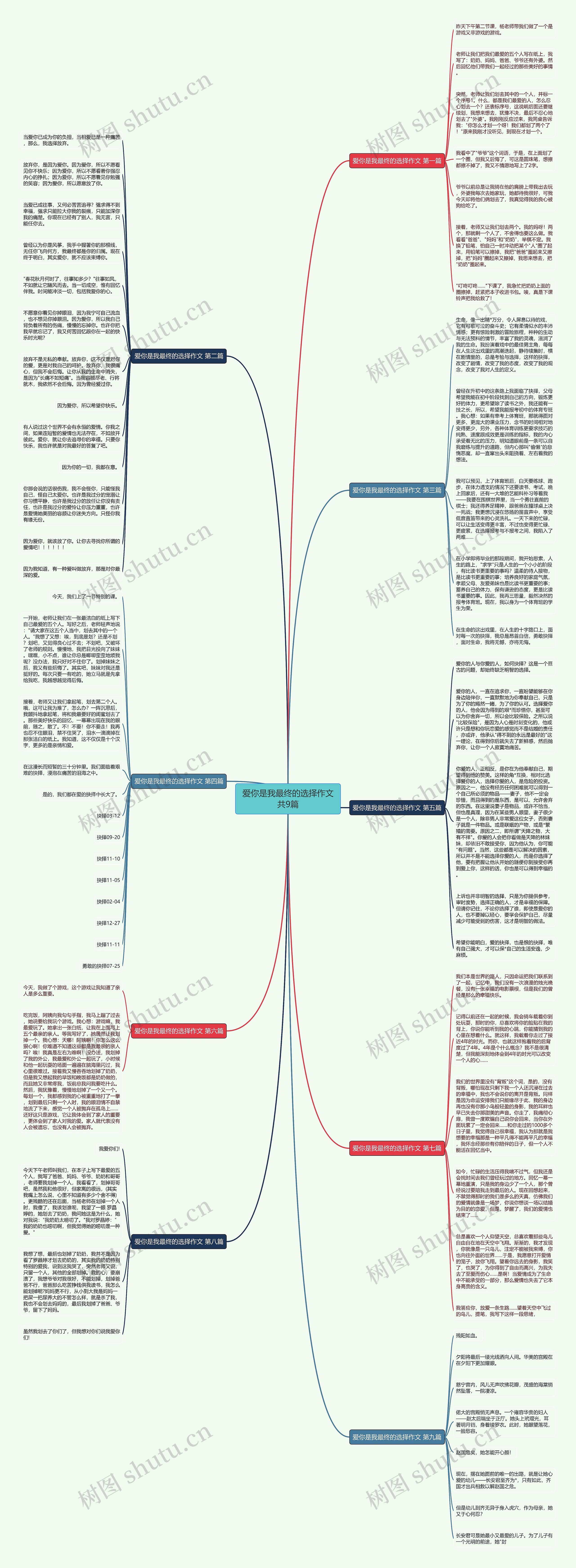 爱你是我最终的选择作文共9篇思维导图