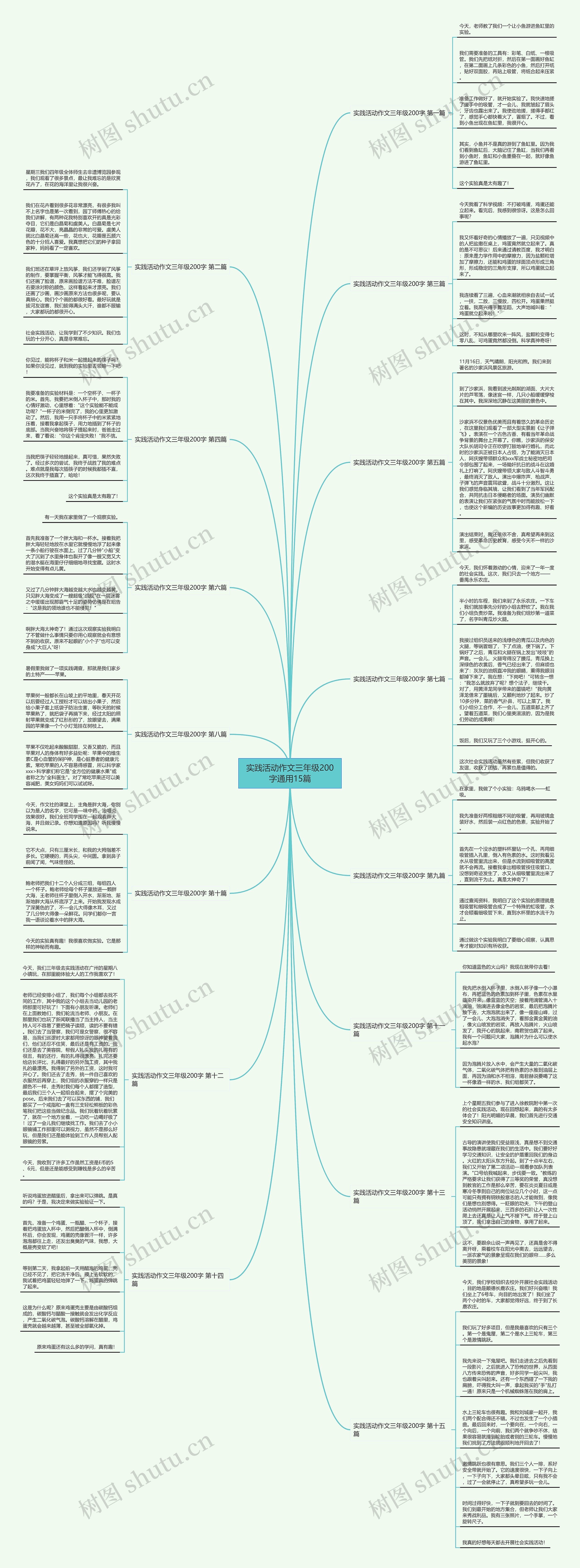实践活动作文三年级200字通用15篇思维导图