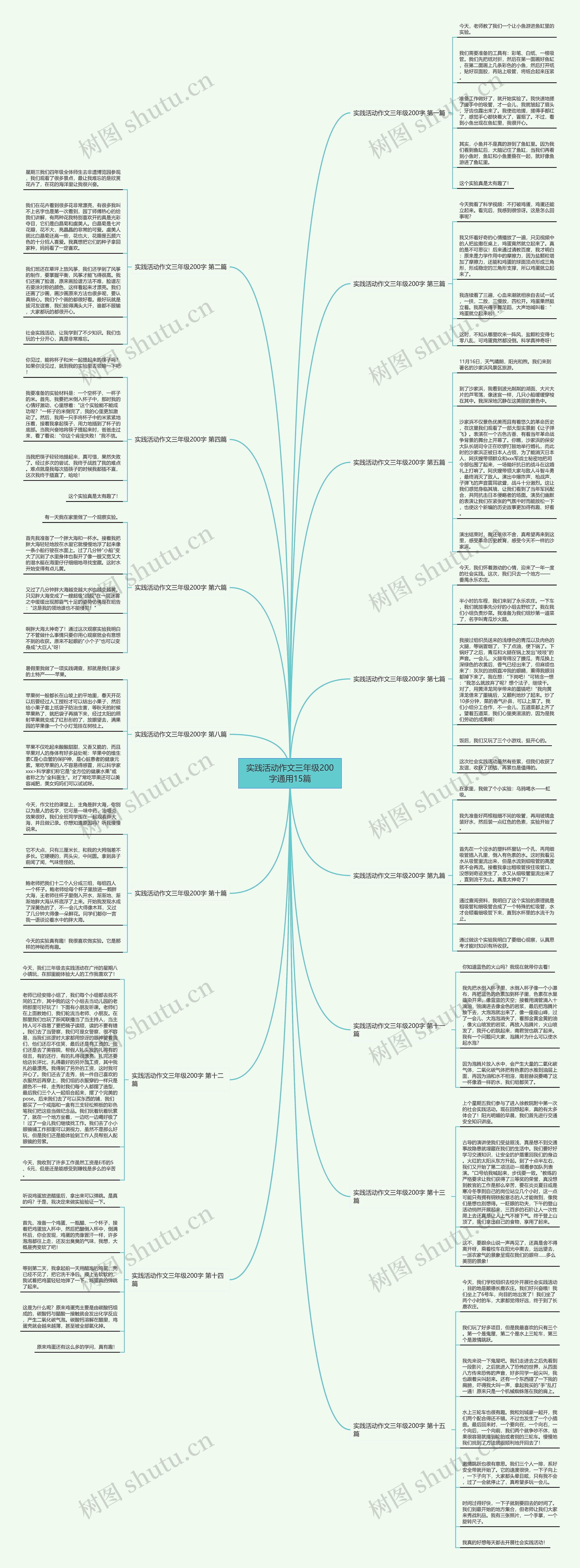 实践活动作文三年级200字通用15篇 实践活动作文三年级200字通用15篇