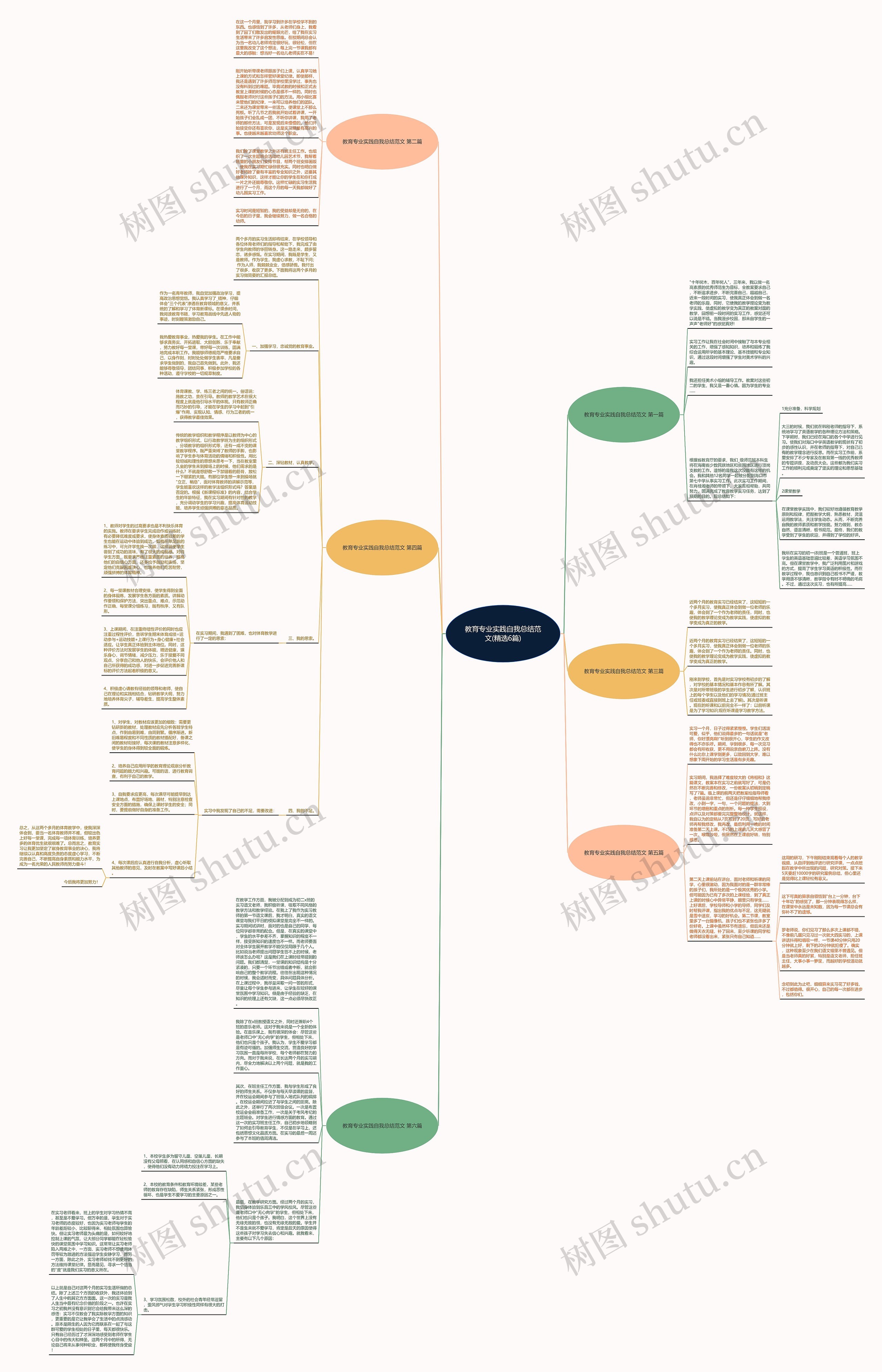 教育专业实践自我总结范文(精选6篇)思维导图