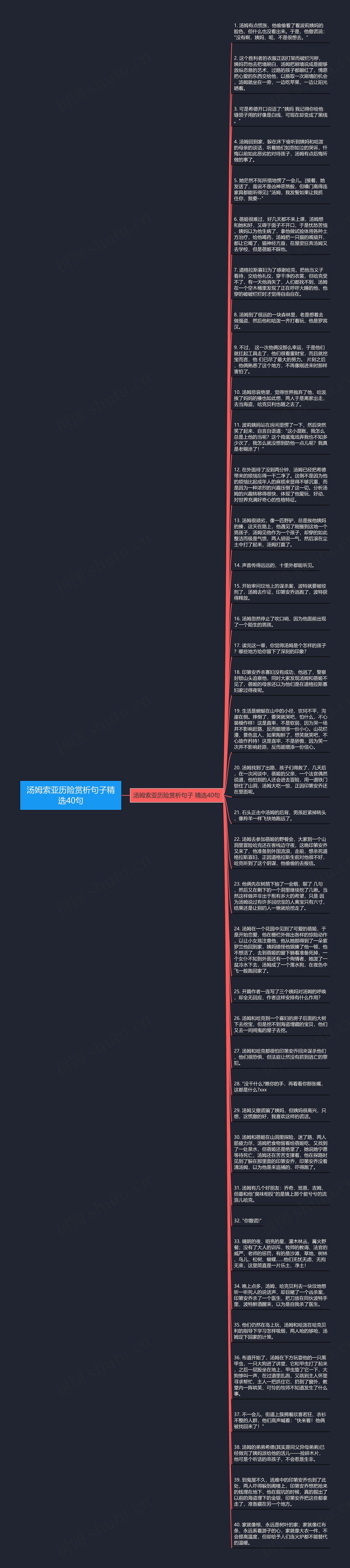 汤姆索亚历险赏析句子精选40句