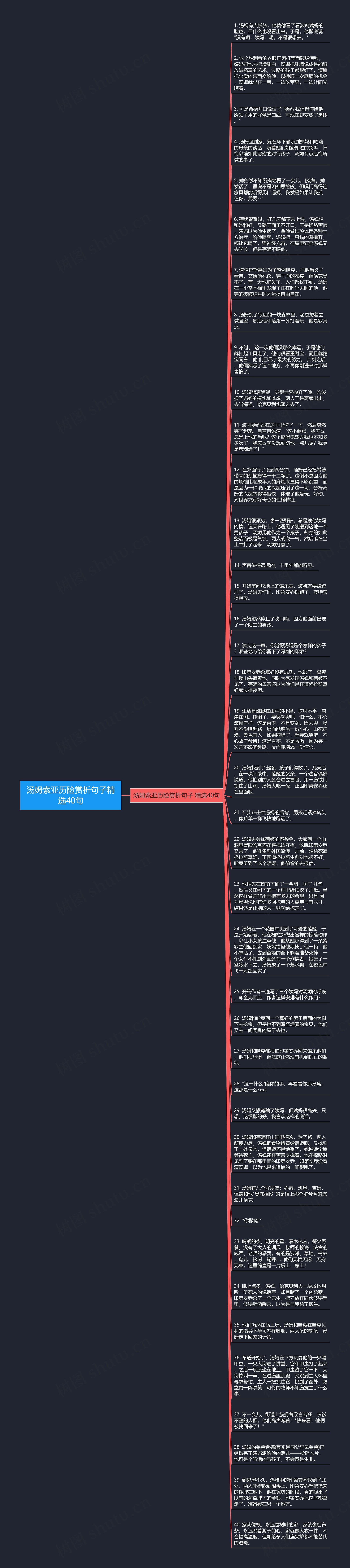 汤姆索亚历险赏析句子精选40句思维导图