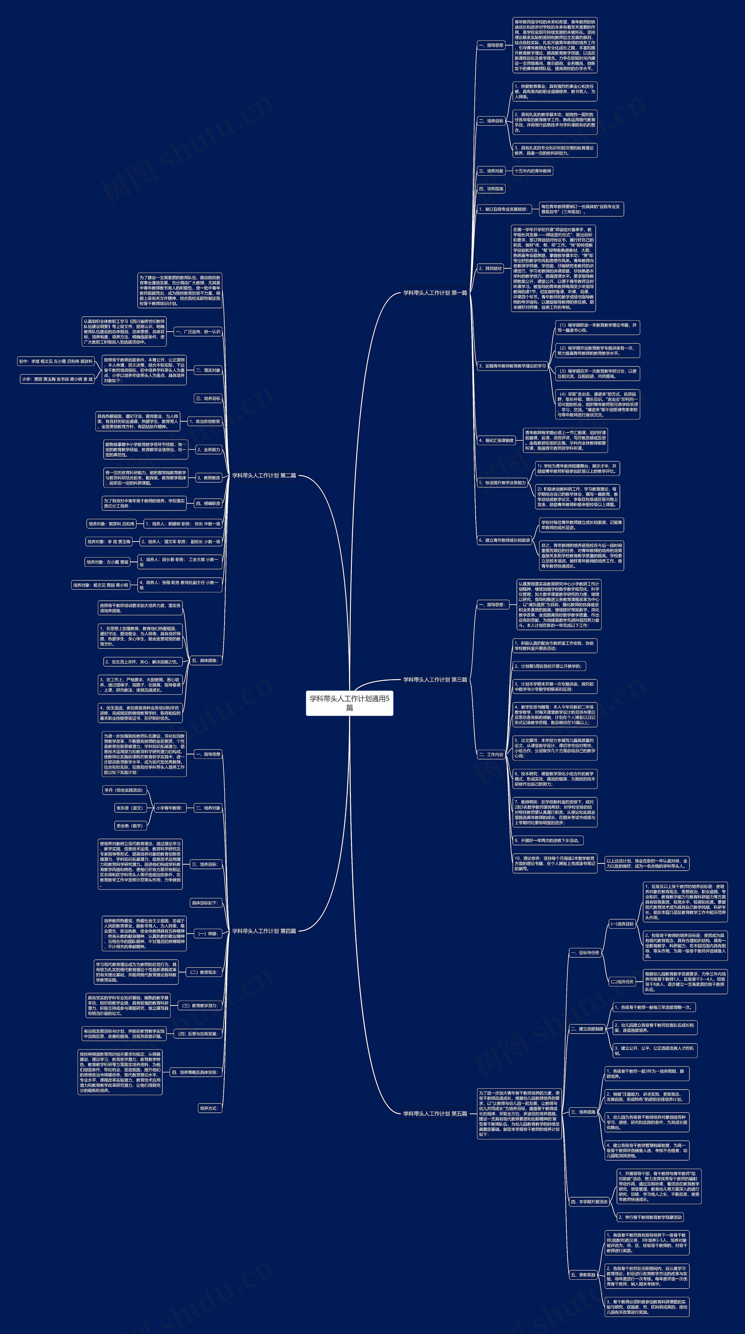 学科带头人工作计划通用5篇思维导图