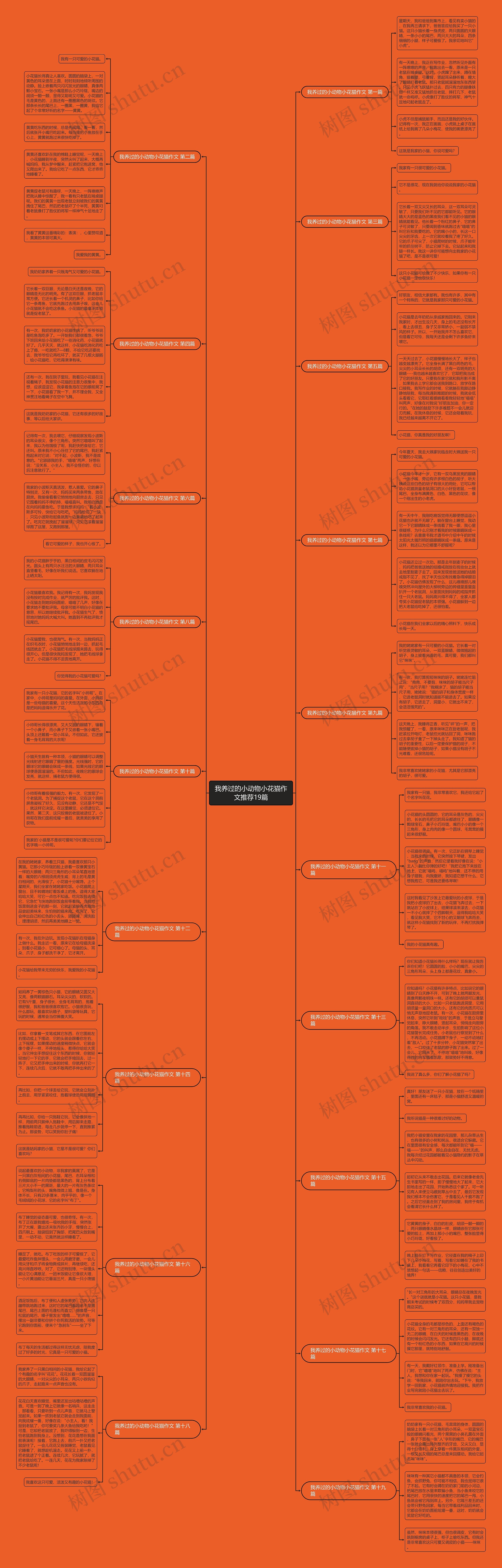 我养过的小动物小花猫作文推荐19篇思维导图