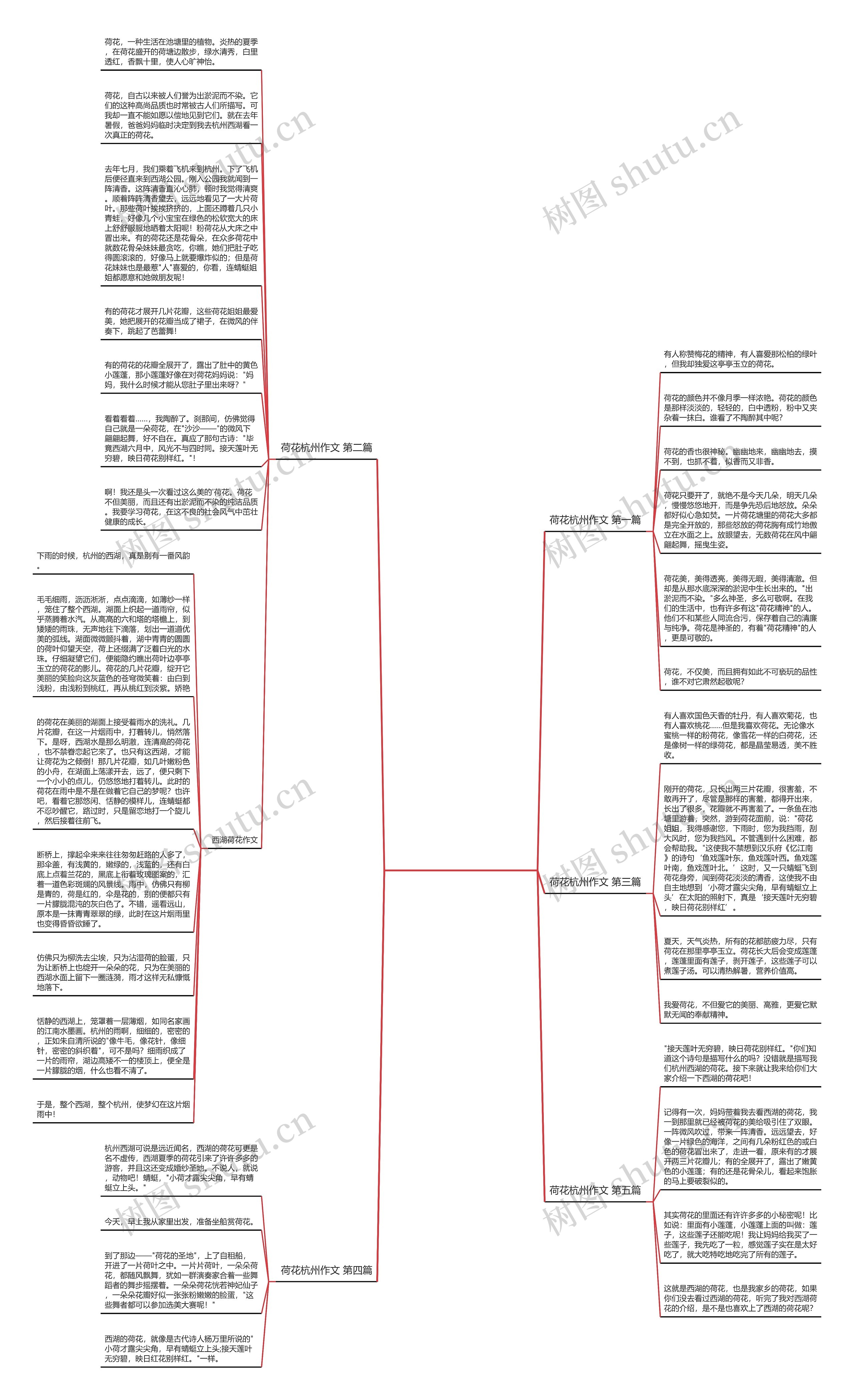 荷花杭州作文精选5篇思维导图