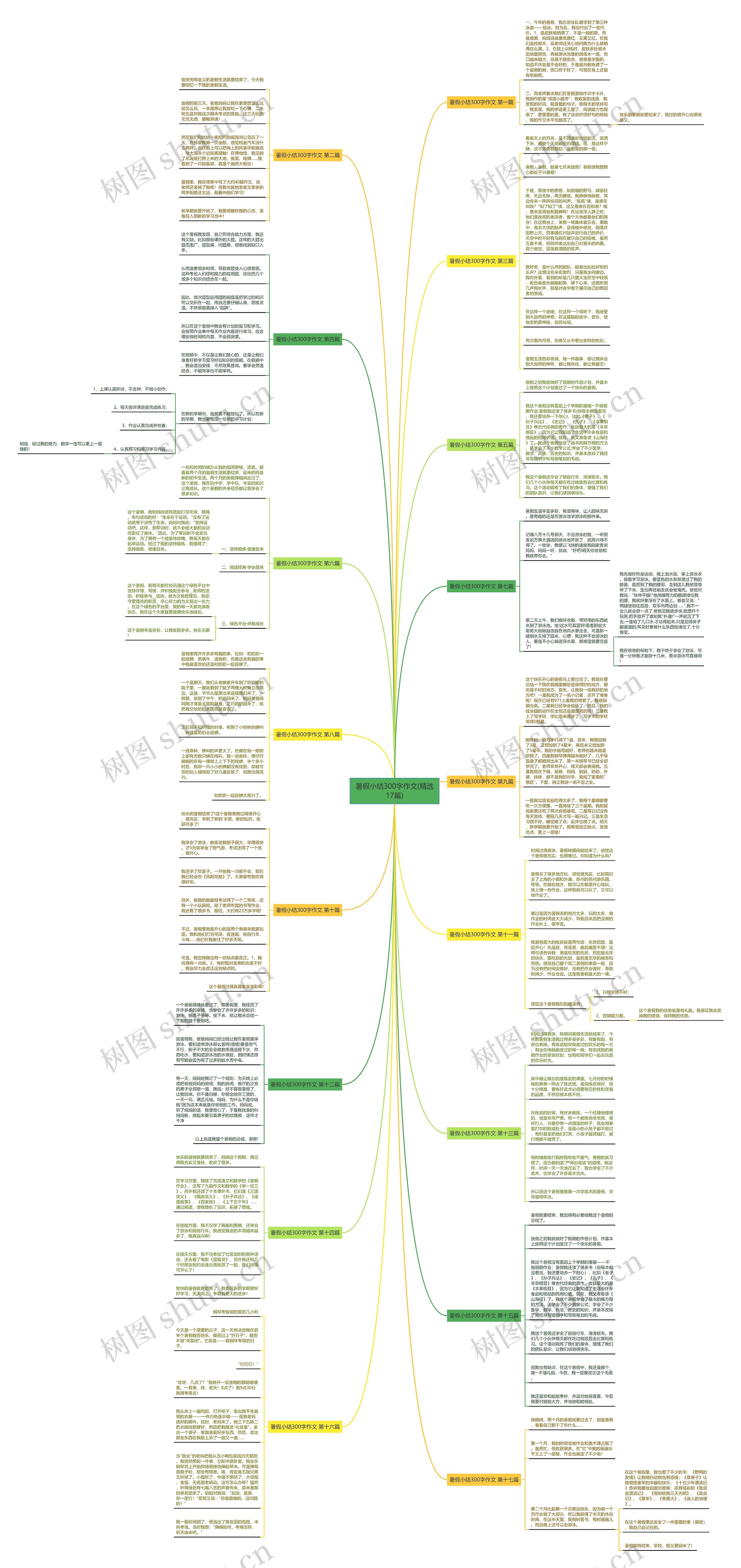 暑假小结300字作文(精选17篇)思维导图