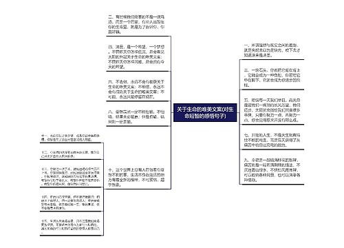 关于生命的唯美文案(对生命短暂的感悟句子)