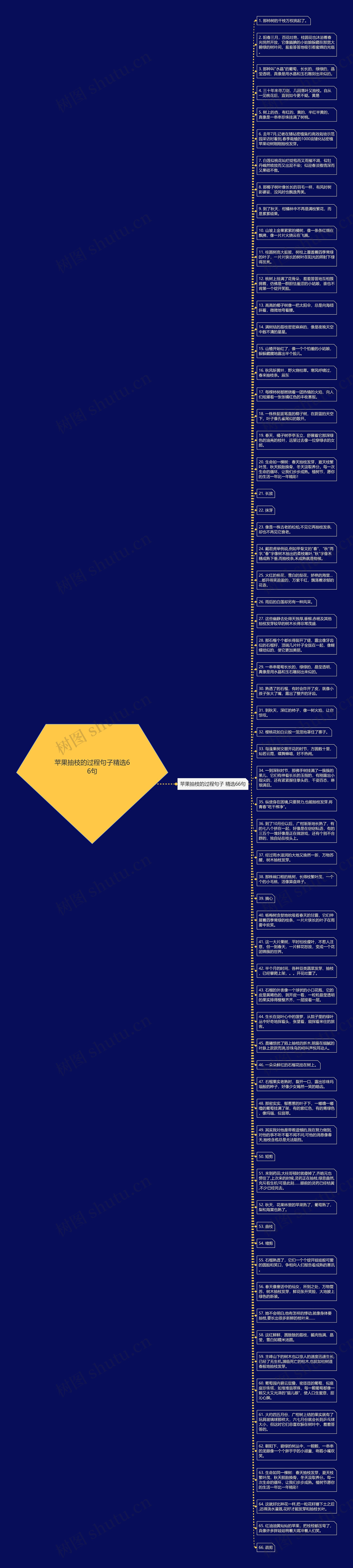 苹果抽枝的过程句子精选66句思维导图