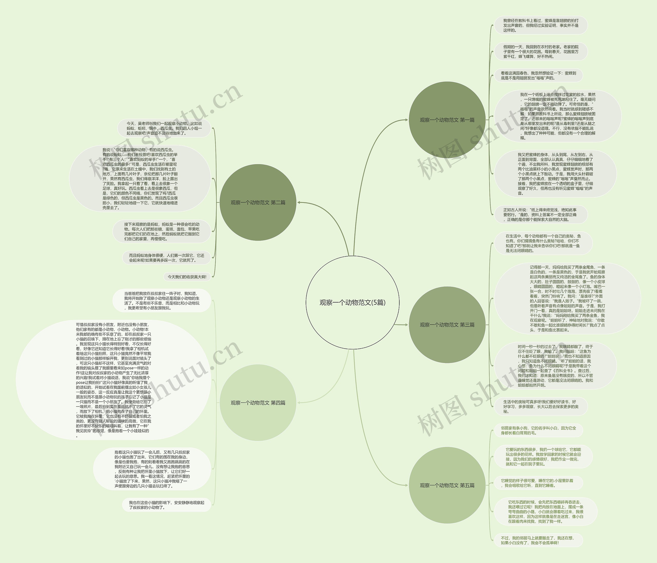 观察一个动物范文(5篇) 观察一个动物范文(5篇)