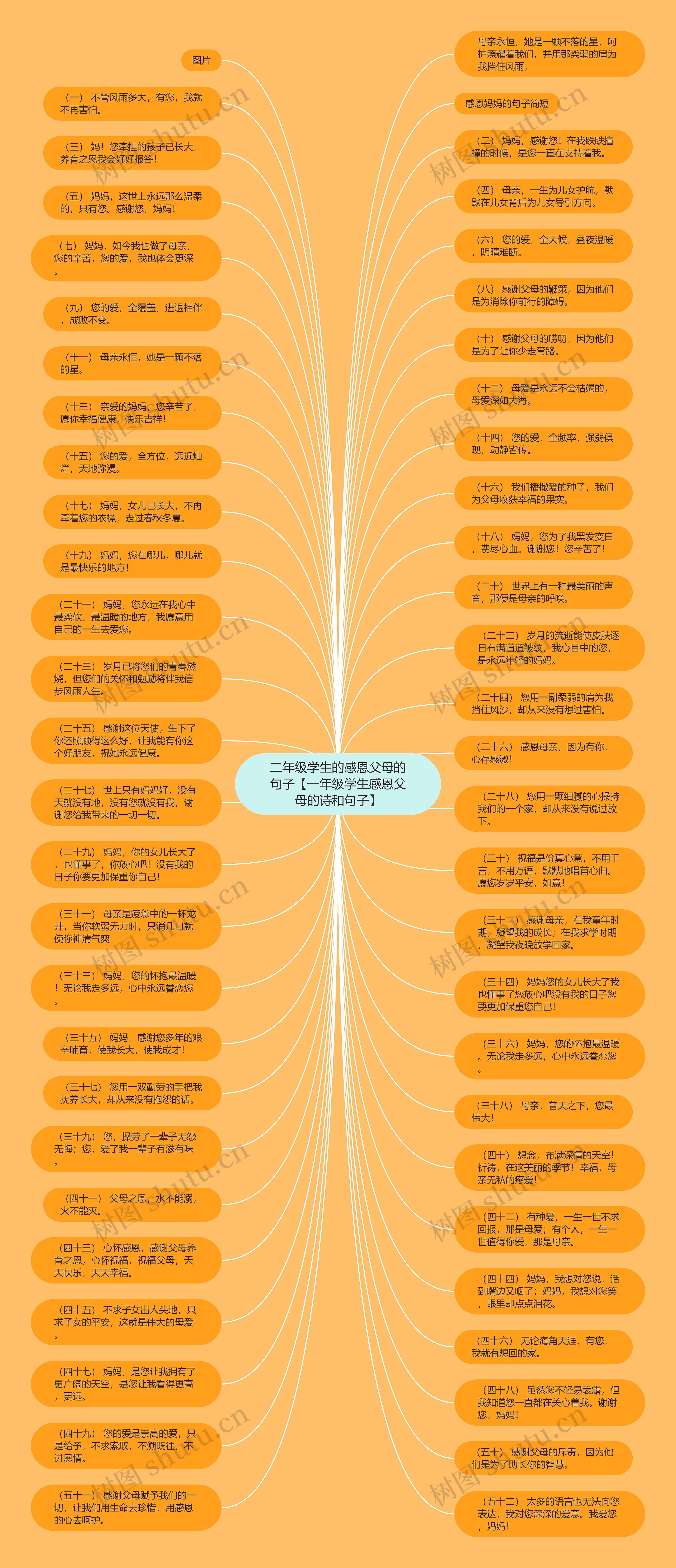 二年级学生的感恩父母的句子【一年级学生感恩父母的诗和句子】思维导图