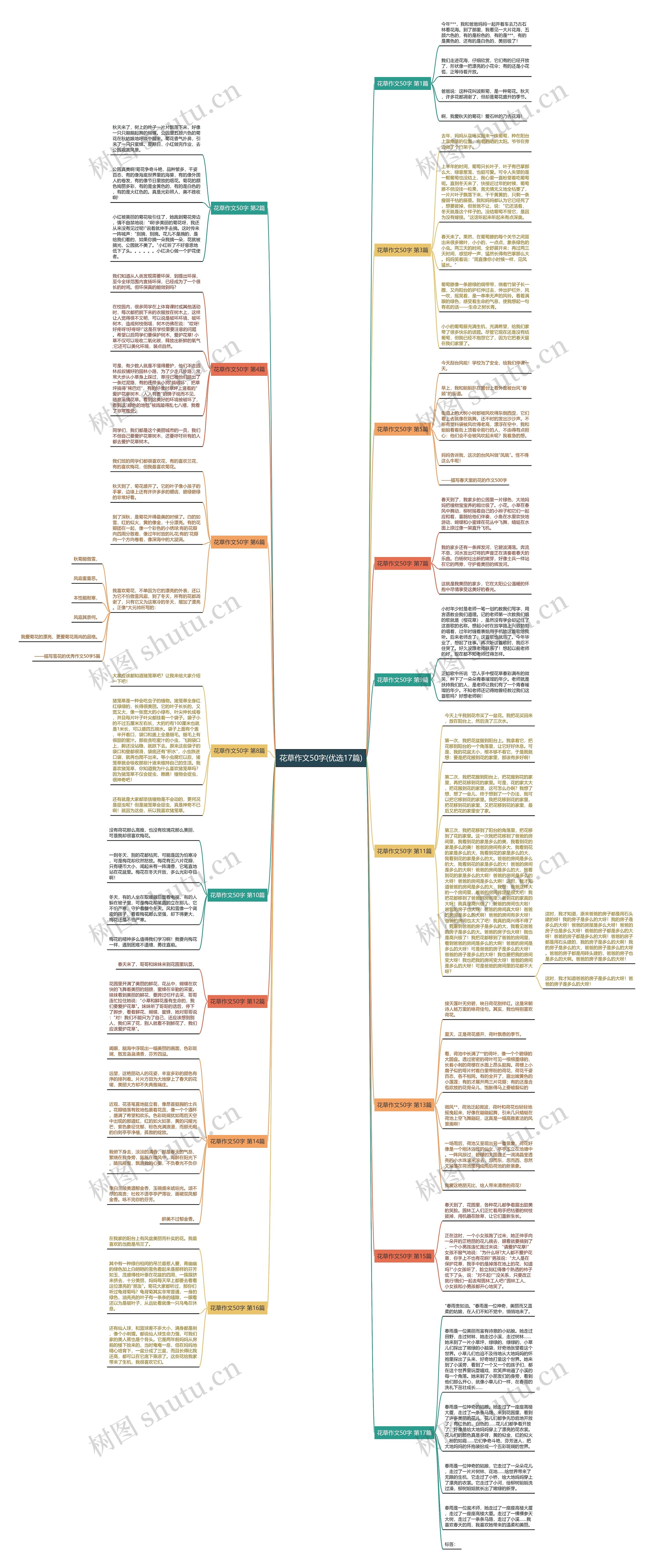 花草作文50字(优选17篇)