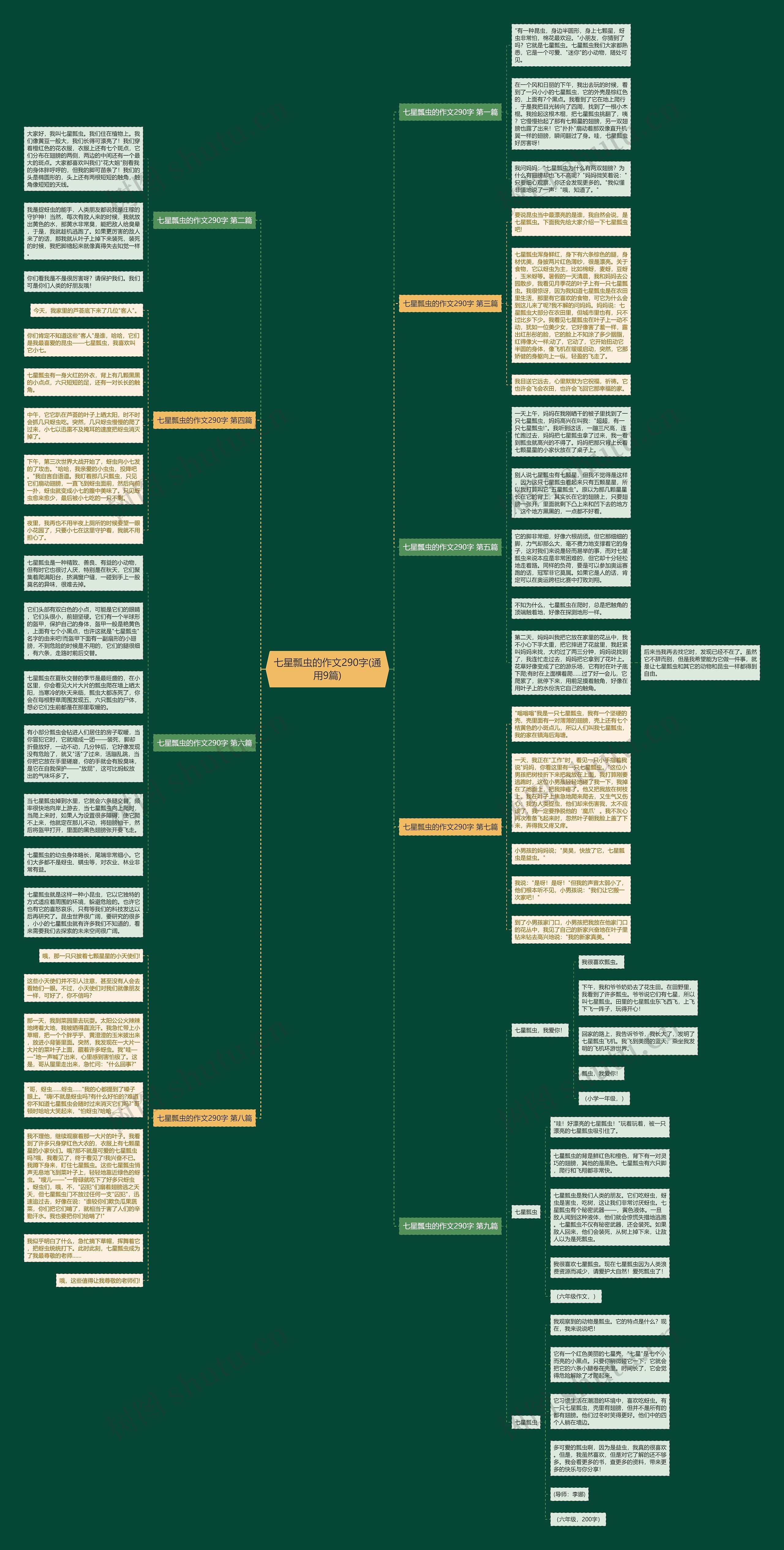 七星瓢虫的作文290字(通用9篇)