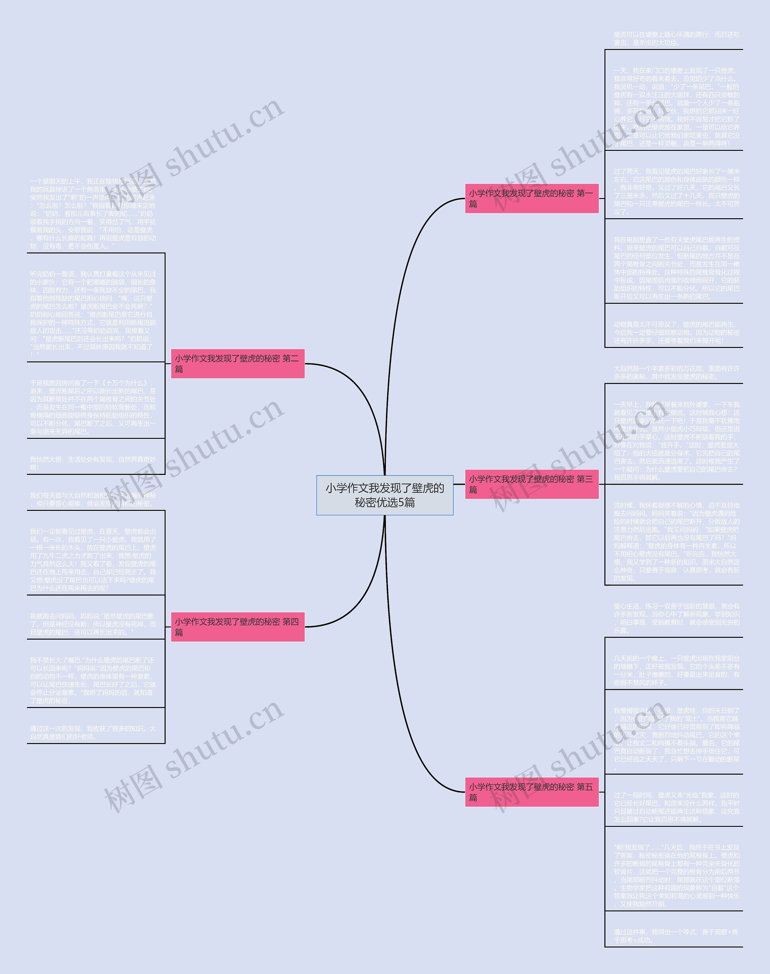 小学作文我发现了壁虎的秘密优选5篇思维导图