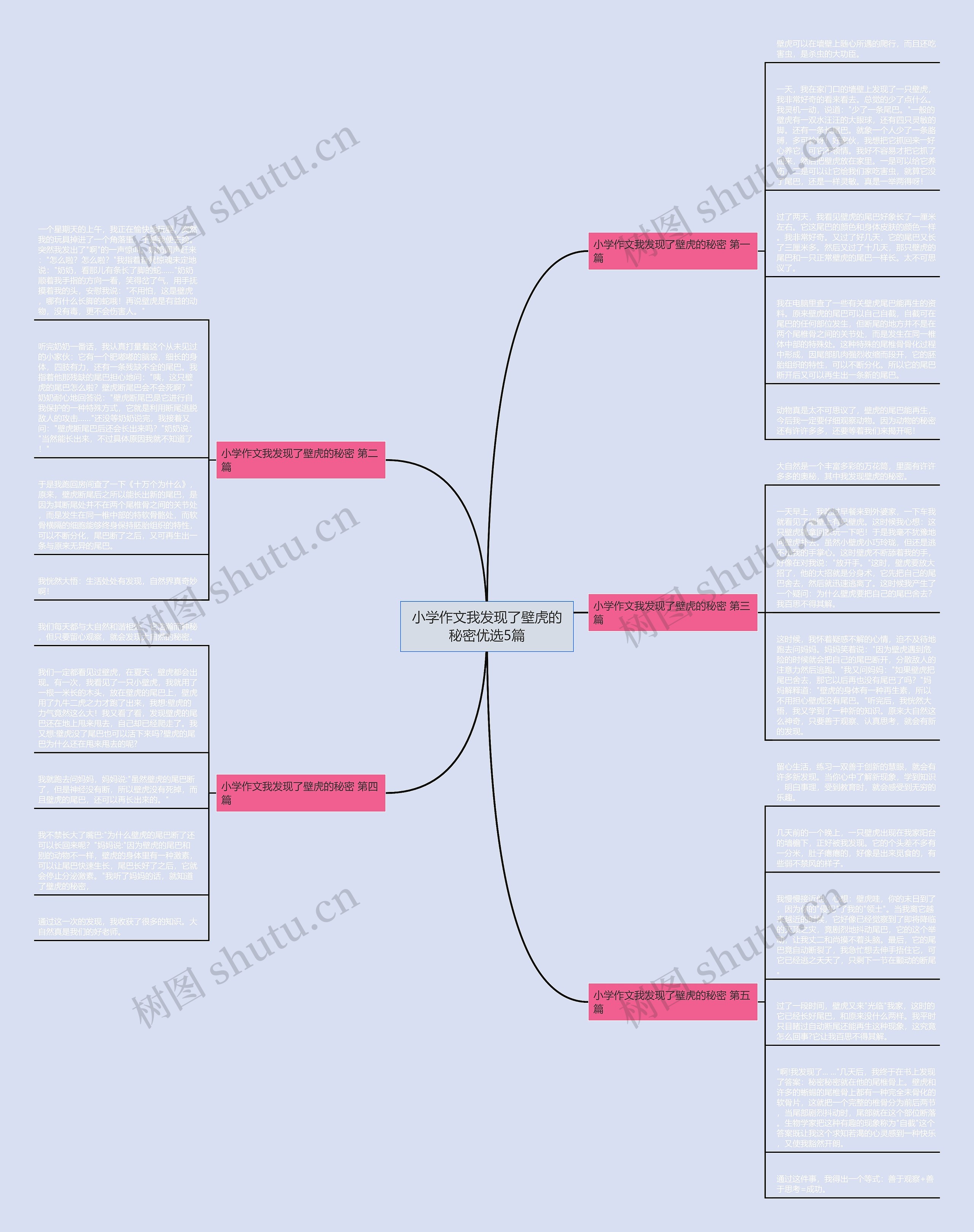 小学作文我发现了壁虎的秘密优选5篇 小学作文我发现了壁虎的秘密优选5篇
