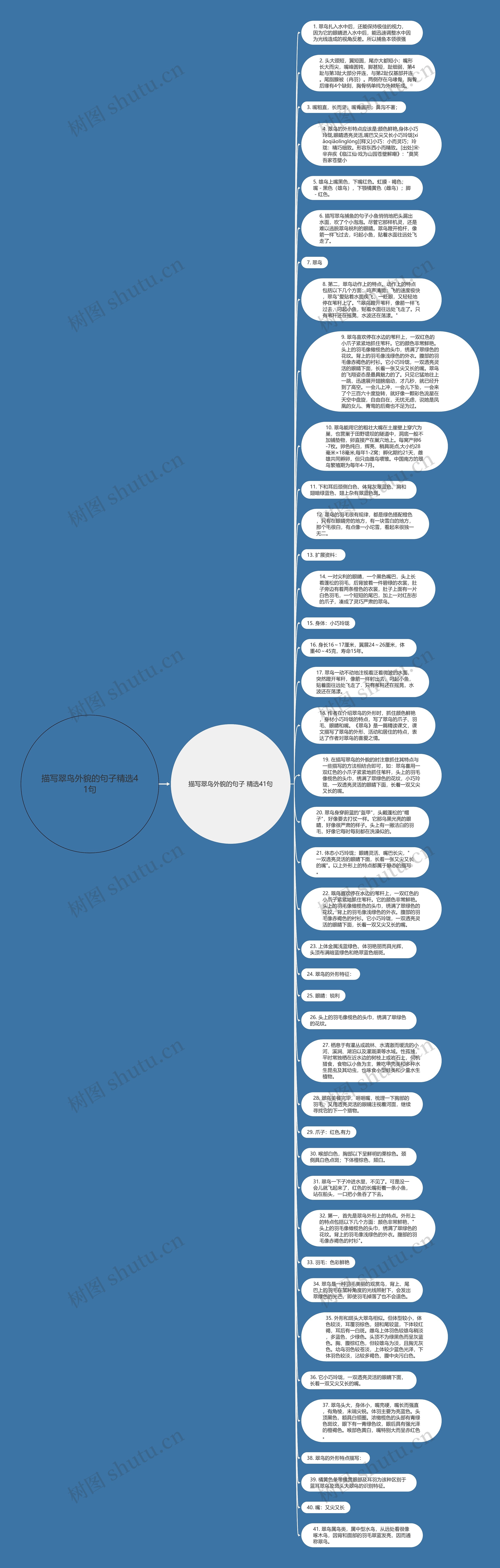 描写翠鸟外貌的句子精选41句思维导图