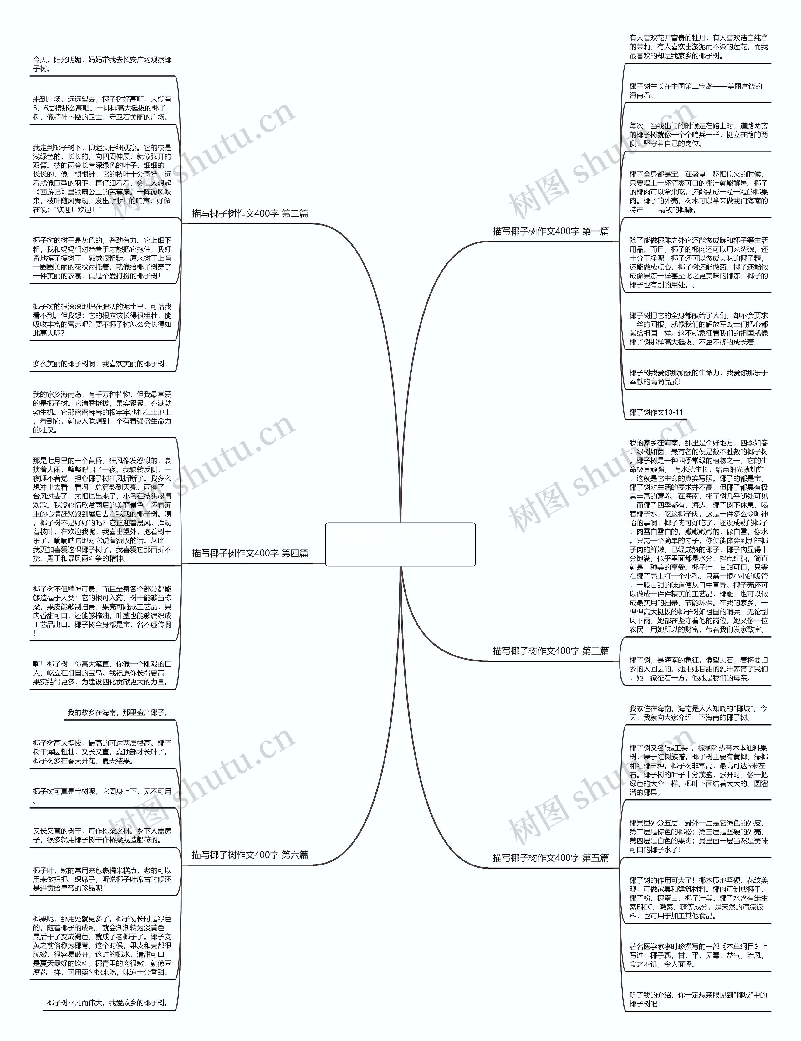 描写椰子树作文400字(6篇)思维导图
