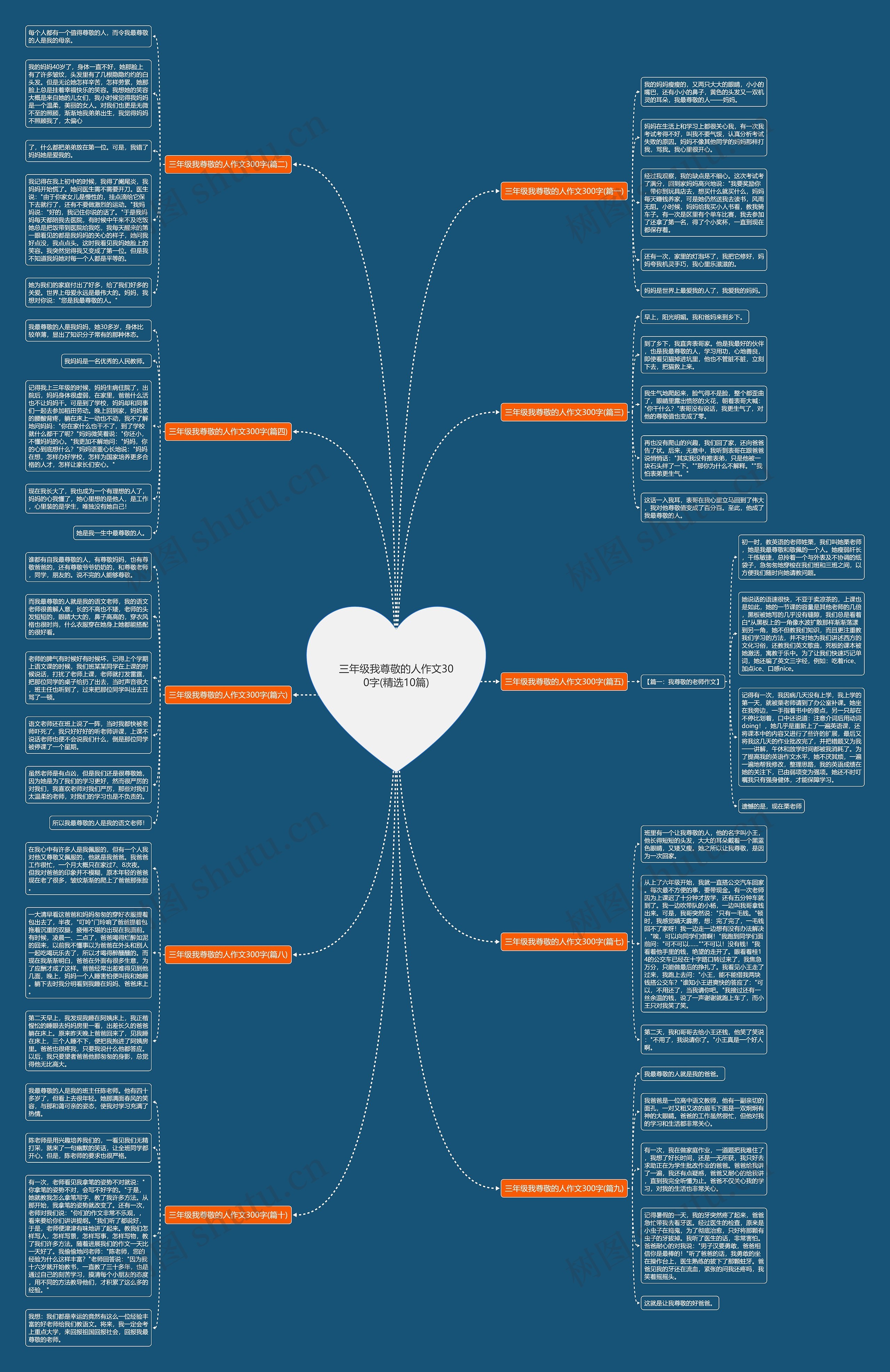 三年级我尊敬的人作文300字(精选10篇) 三年级我尊敬的人作文300字(精选10篇)