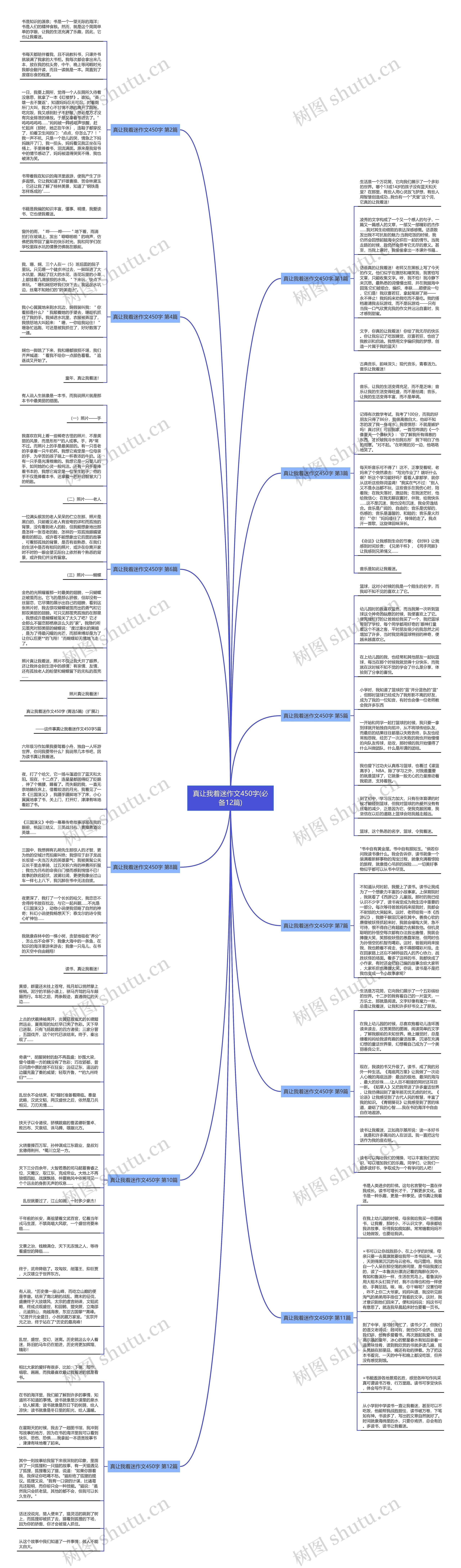 真让我着迷作文450字(必备12篇)思维导图