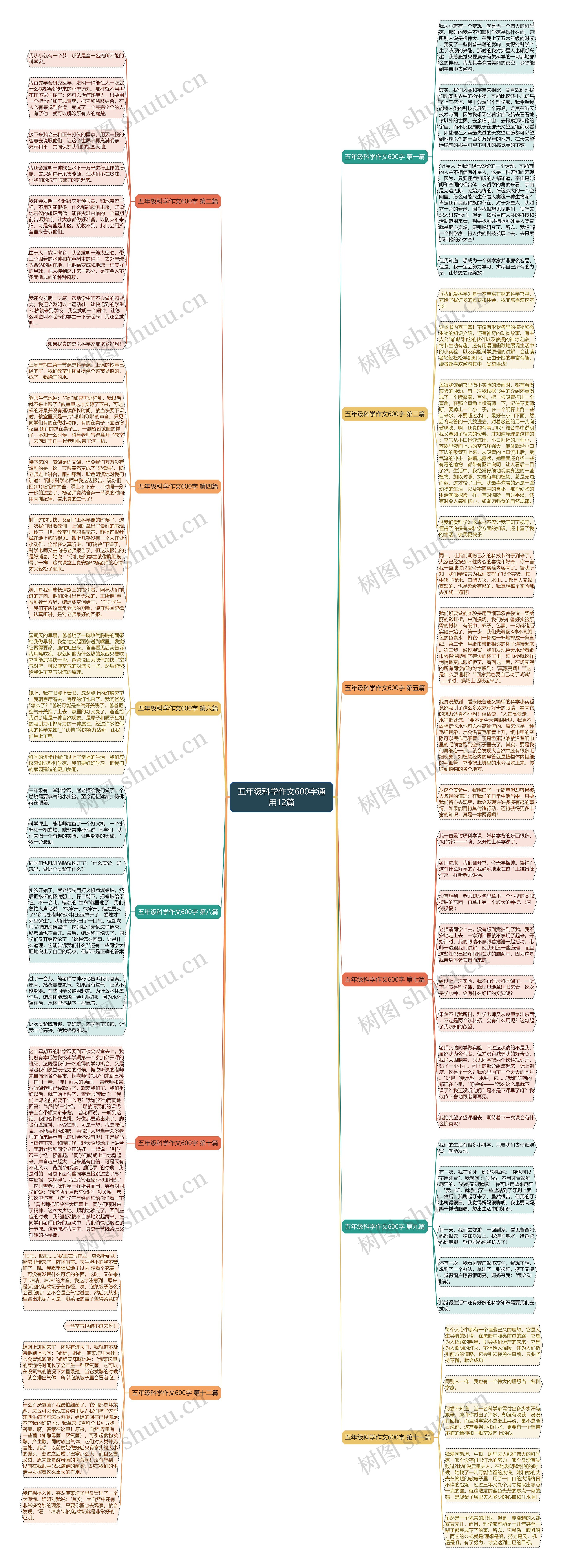 五年级科学作文600字通用12篇思维导图