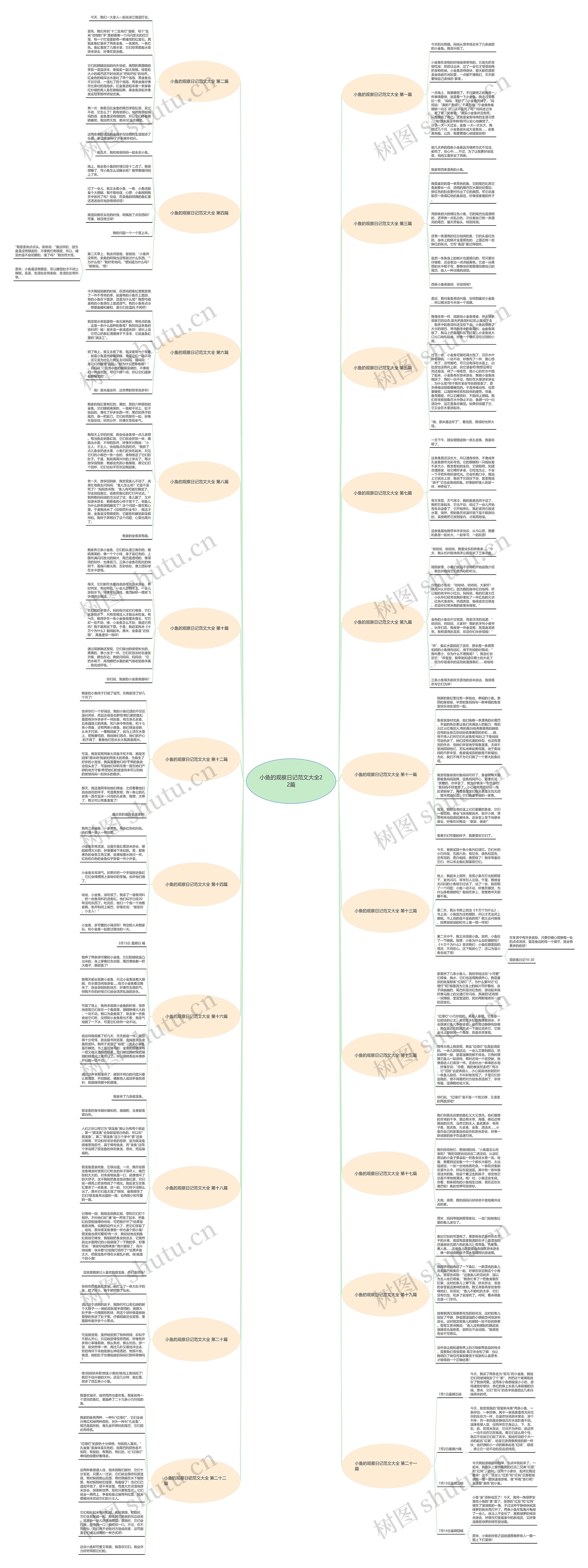 小鱼的观察日记范文大全22篇思维导图