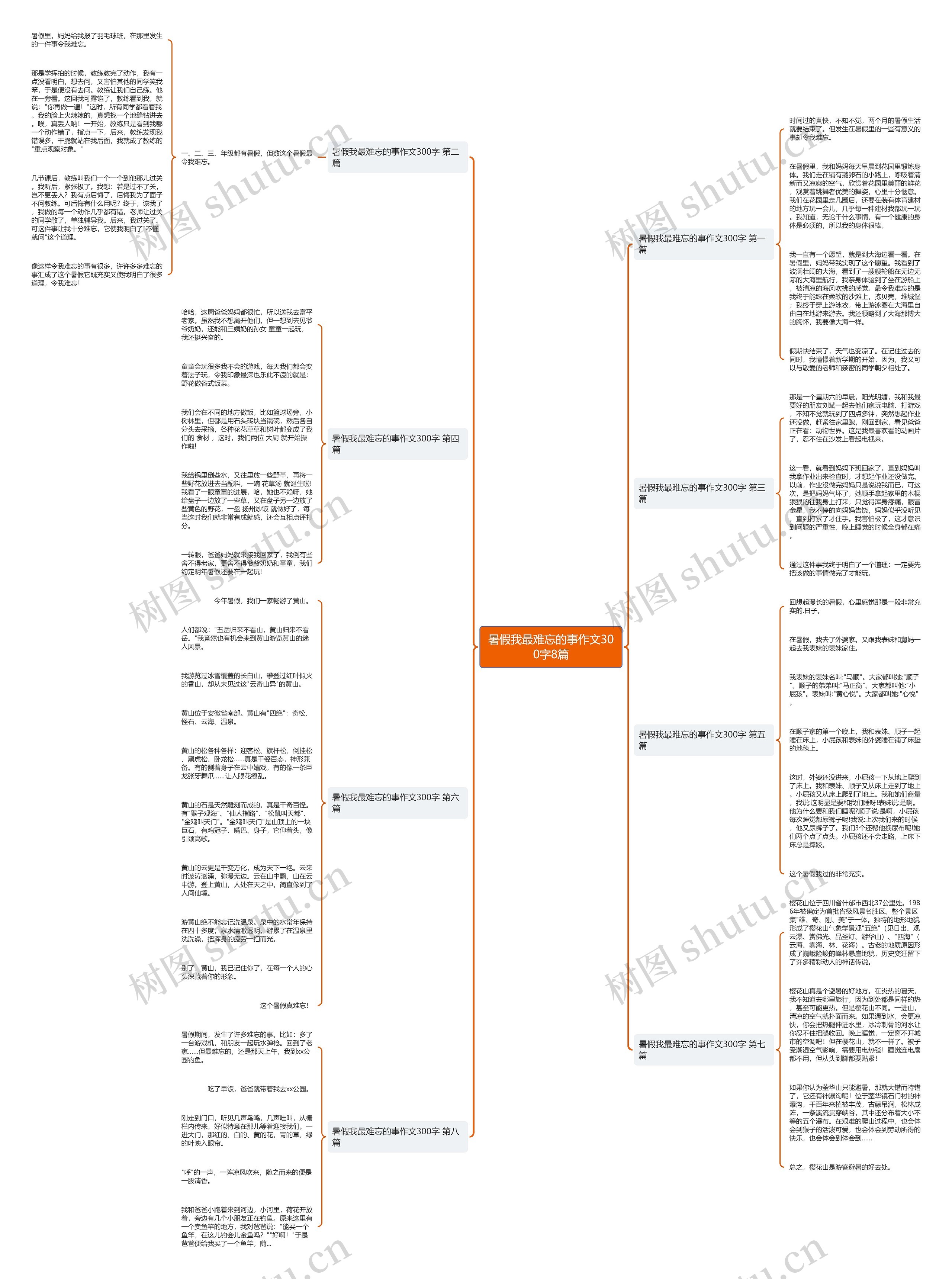 暑假我最难忘的事作文300字8篇思维导图