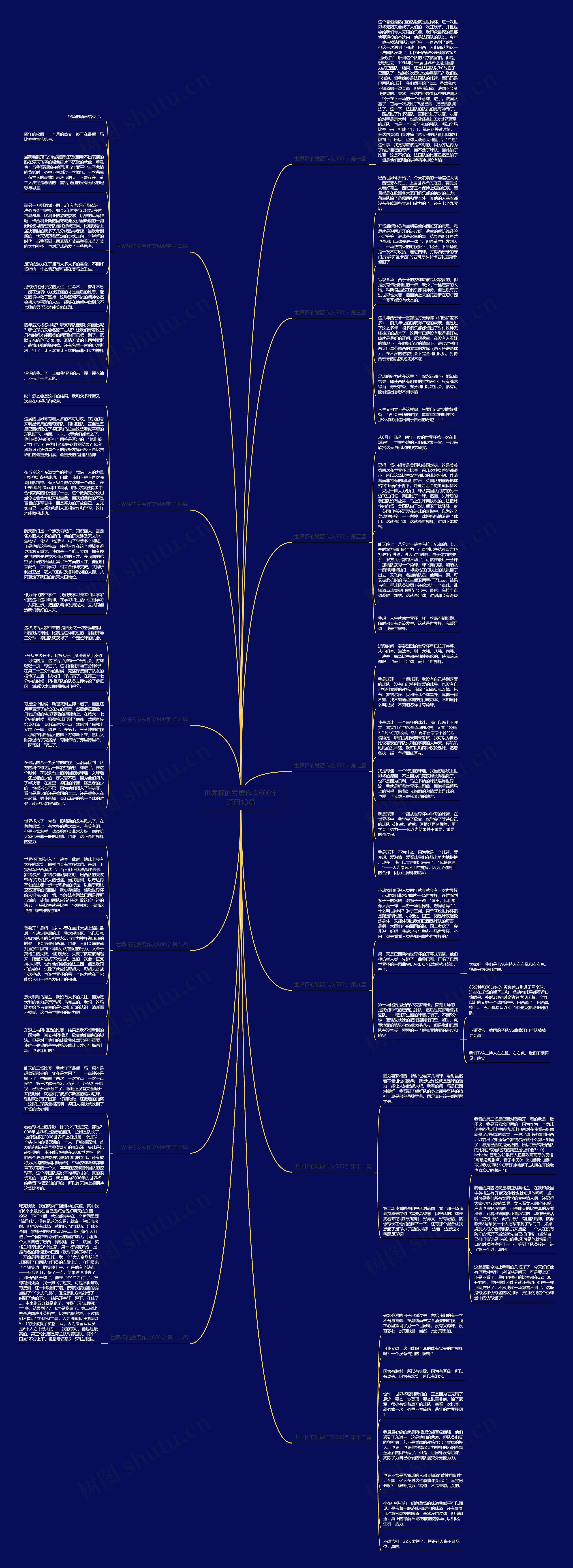 世界杯的发展作文600字通用13篇思维导图