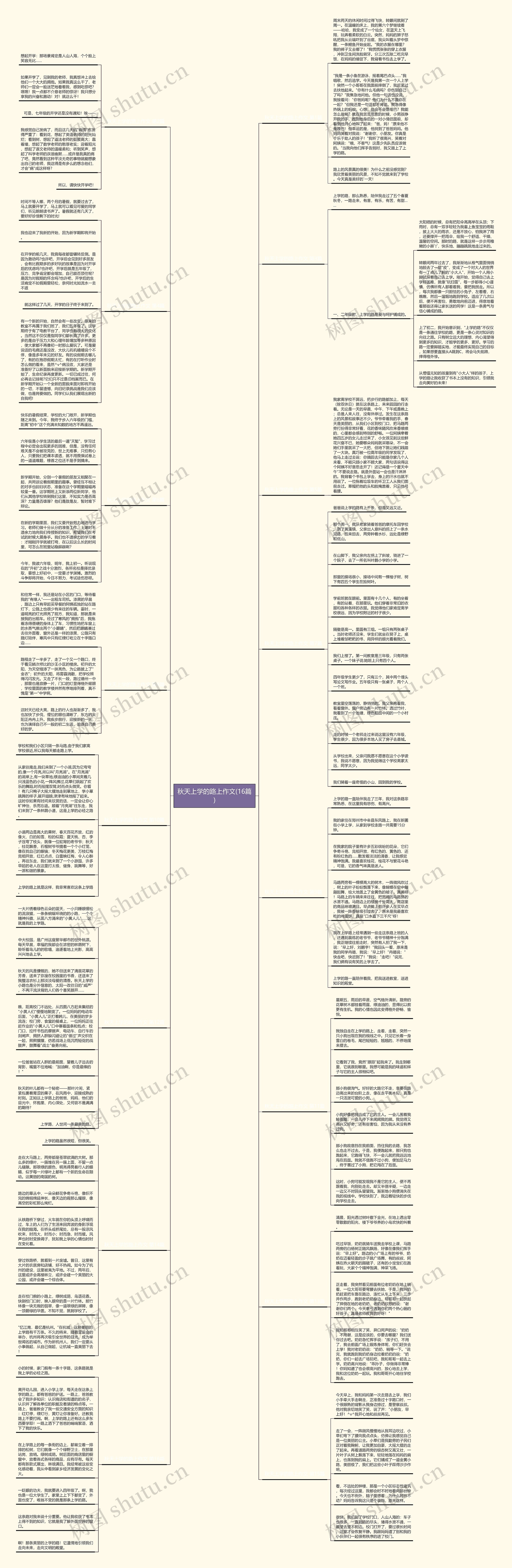 秋天上学的路上作文(16篇)
