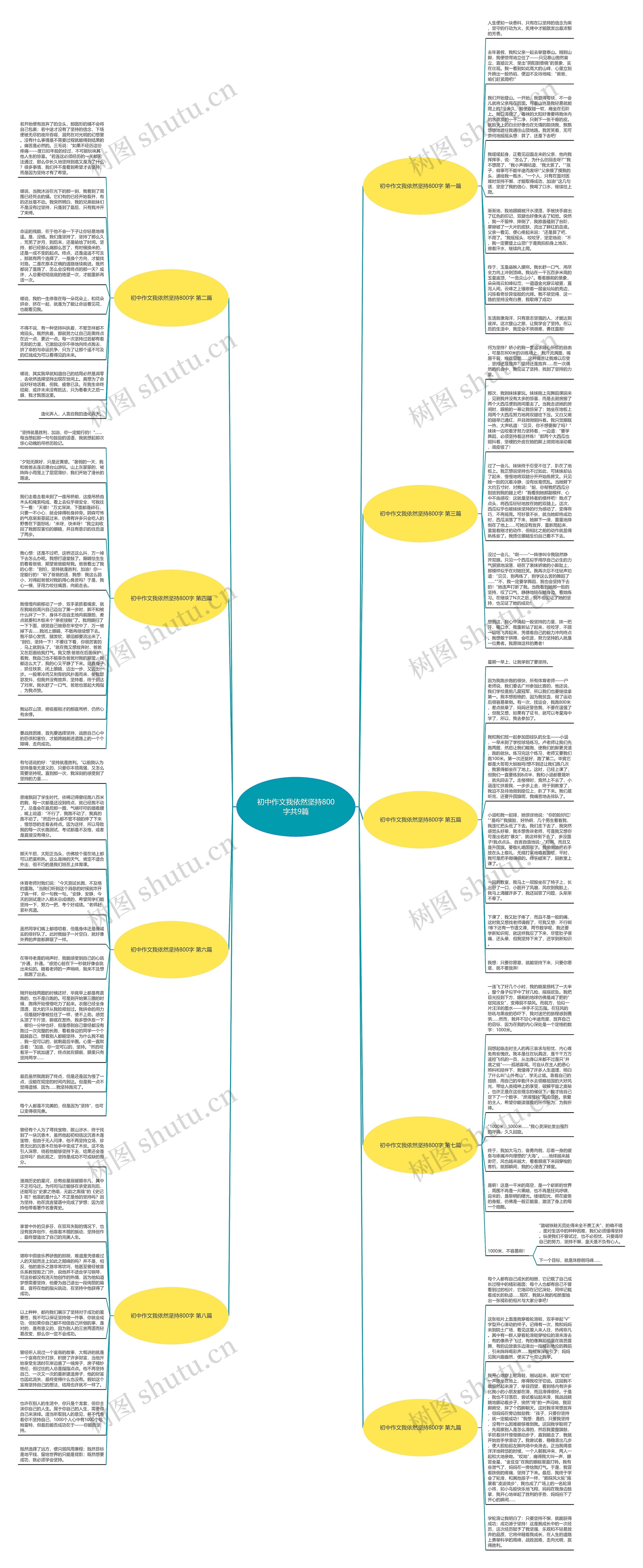 初中作文我依然坚持800字共9篇思维导图