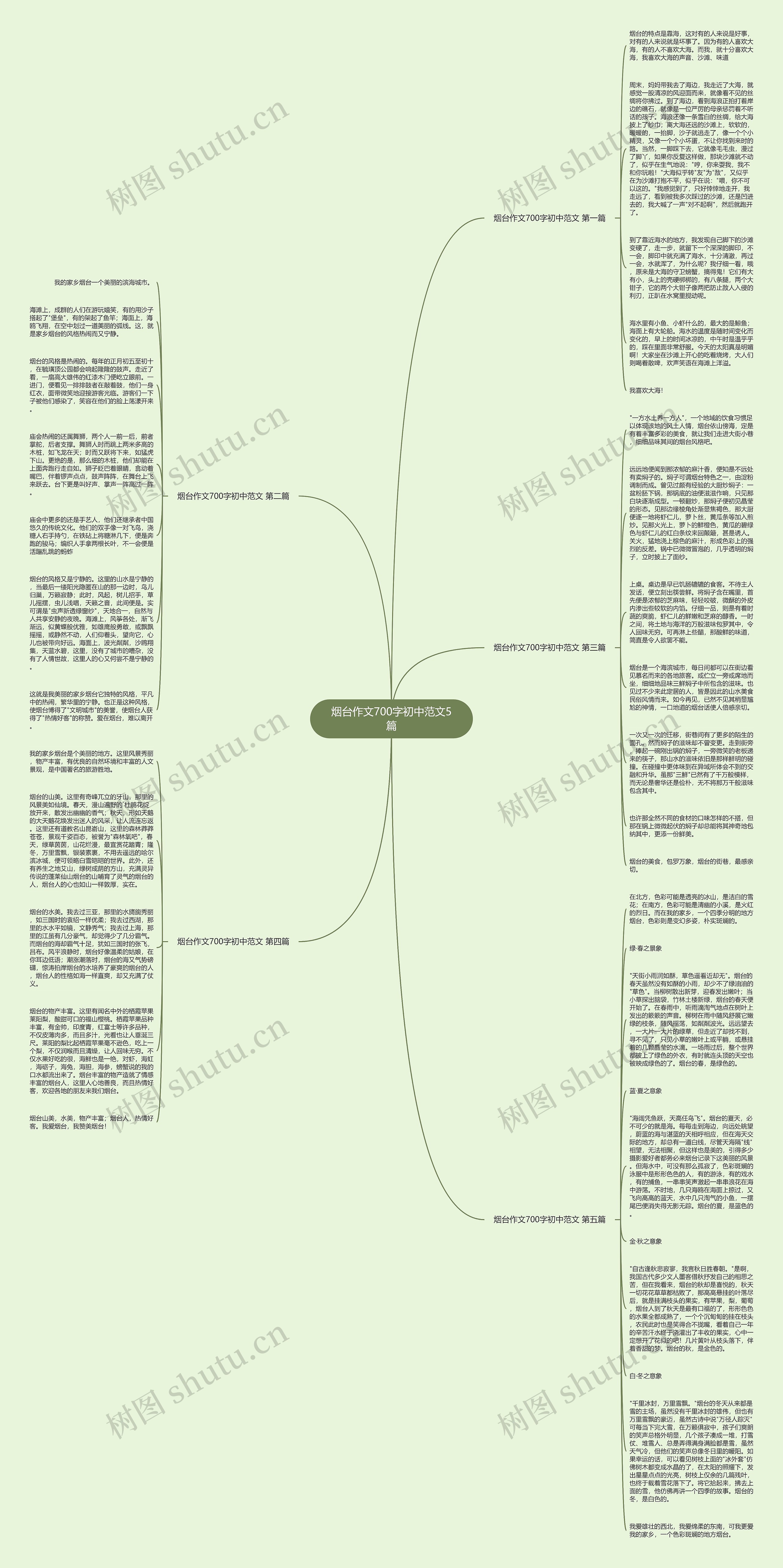 烟台作文700字初中范文5篇思维导图