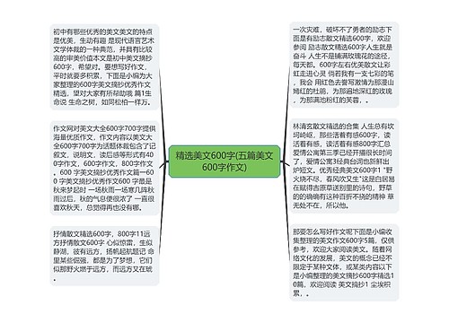 精选美文600字(五篇美文600字作文)