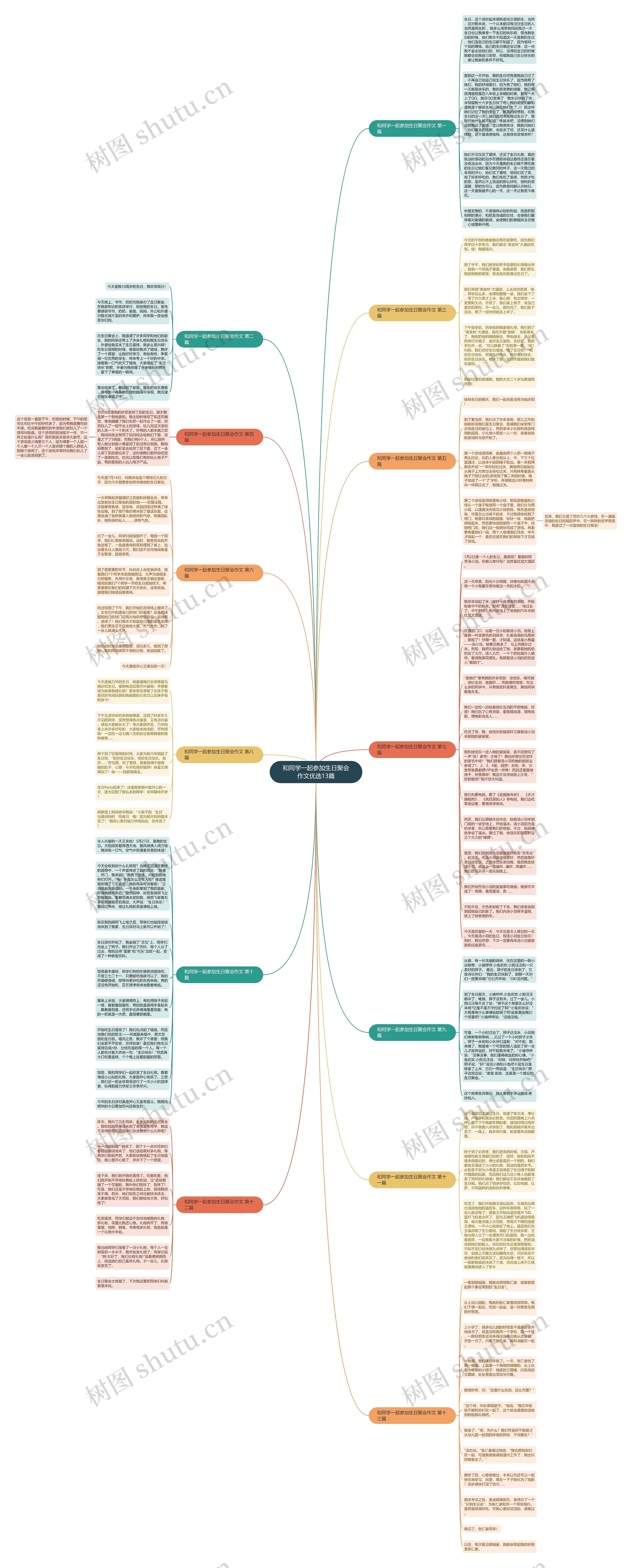 和同学一起参加生日聚会作文优选13篇思维导图