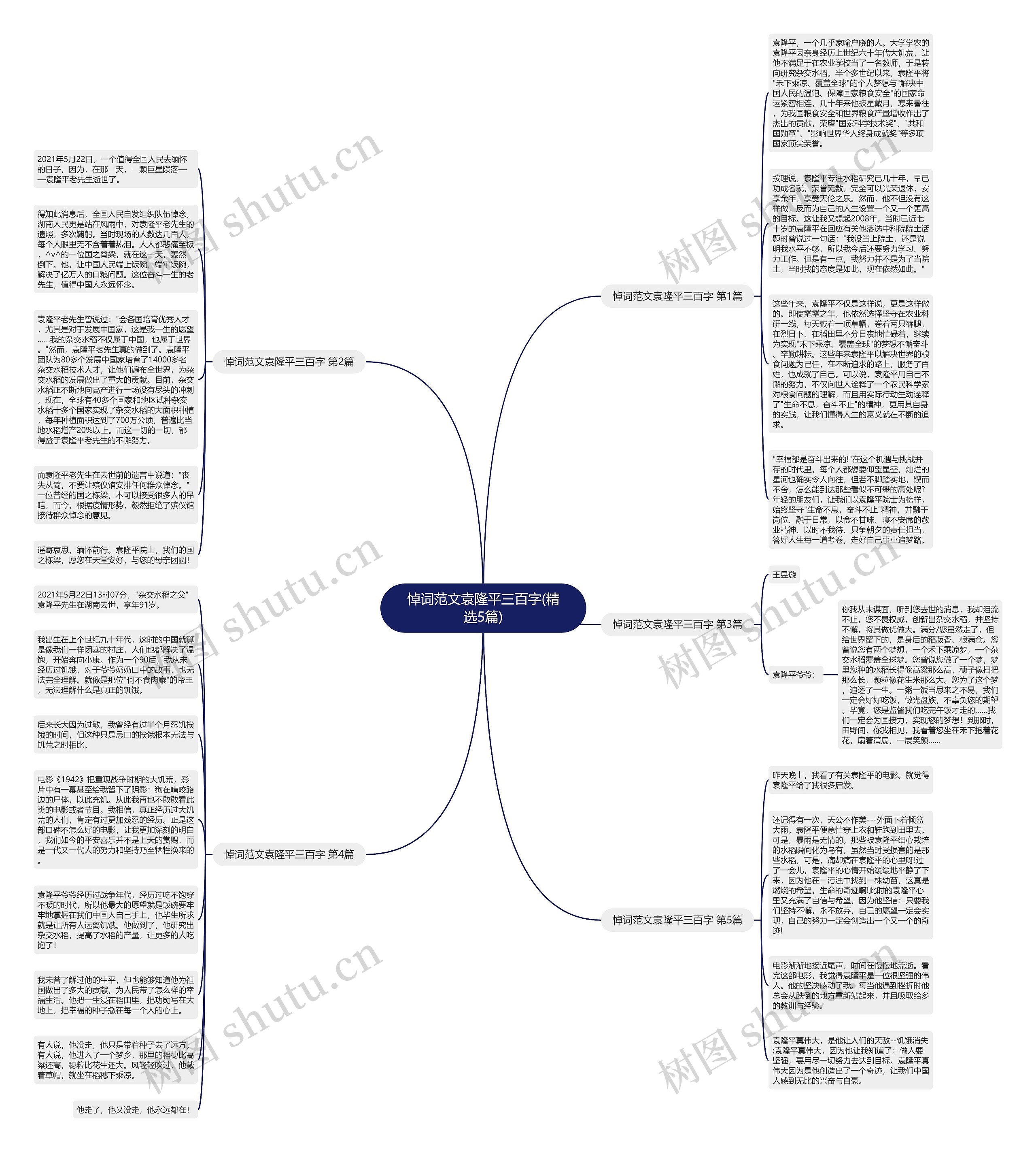 悼词范文袁隆平三百字(精选5篇)思维导图