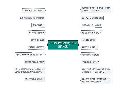 小升初的毕业文案(小升初宣传文案)