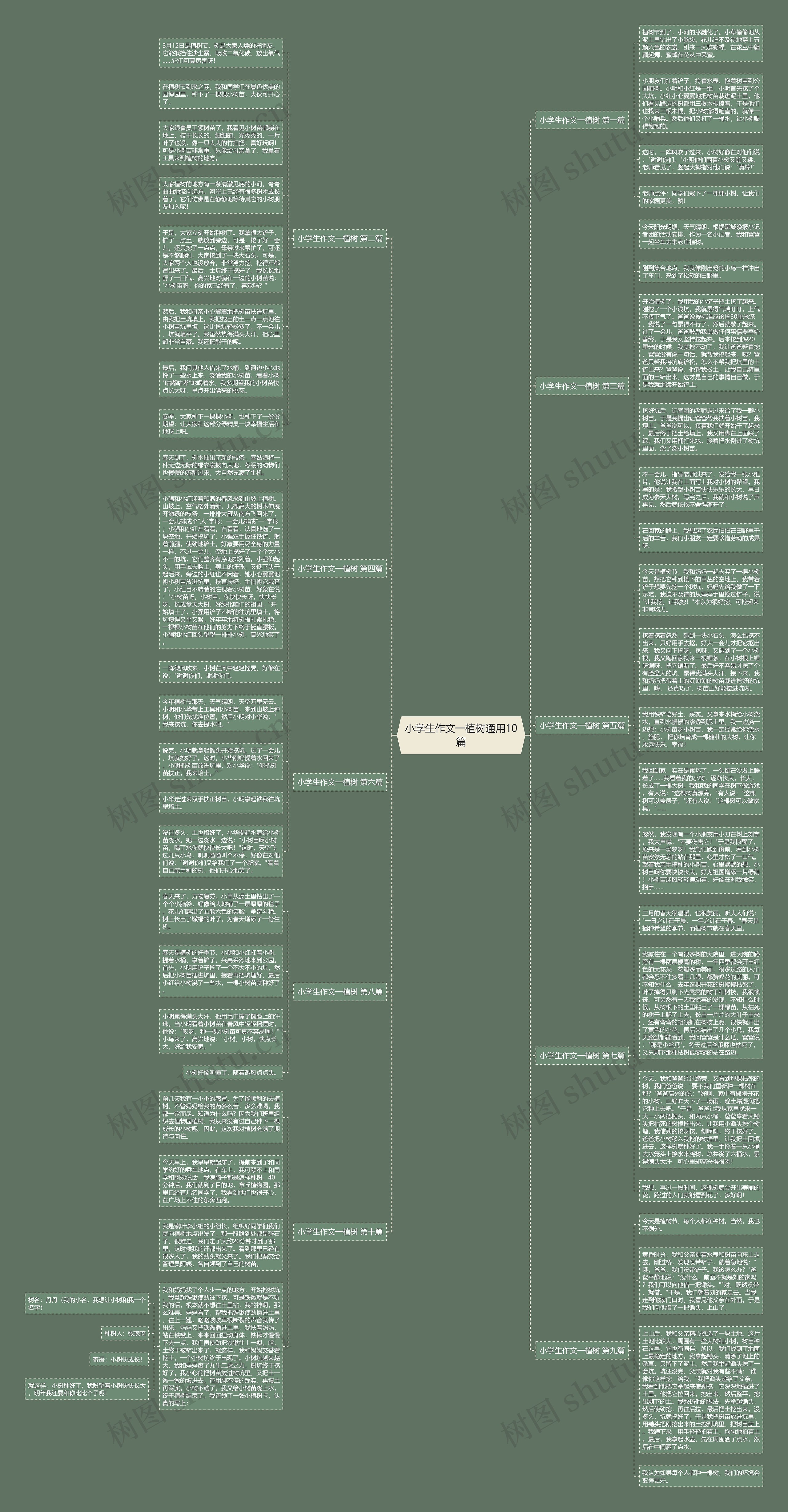 小学生作文一植树通用10篇思维导图