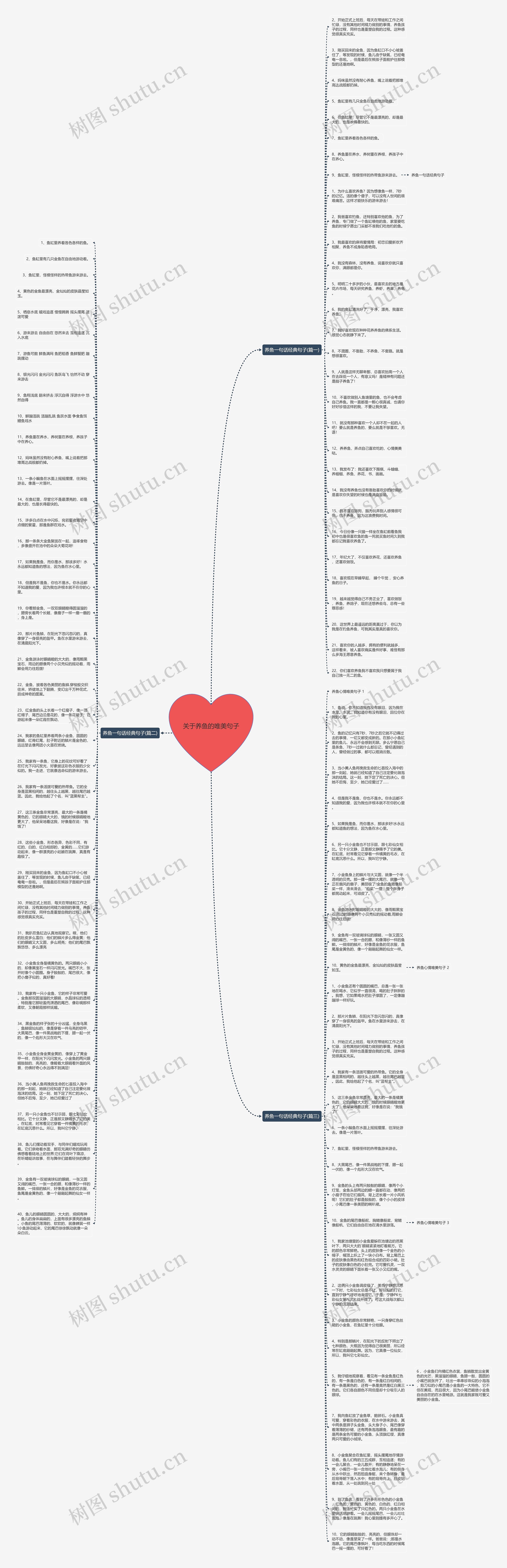 关于养鱼的唯美句子思维导图