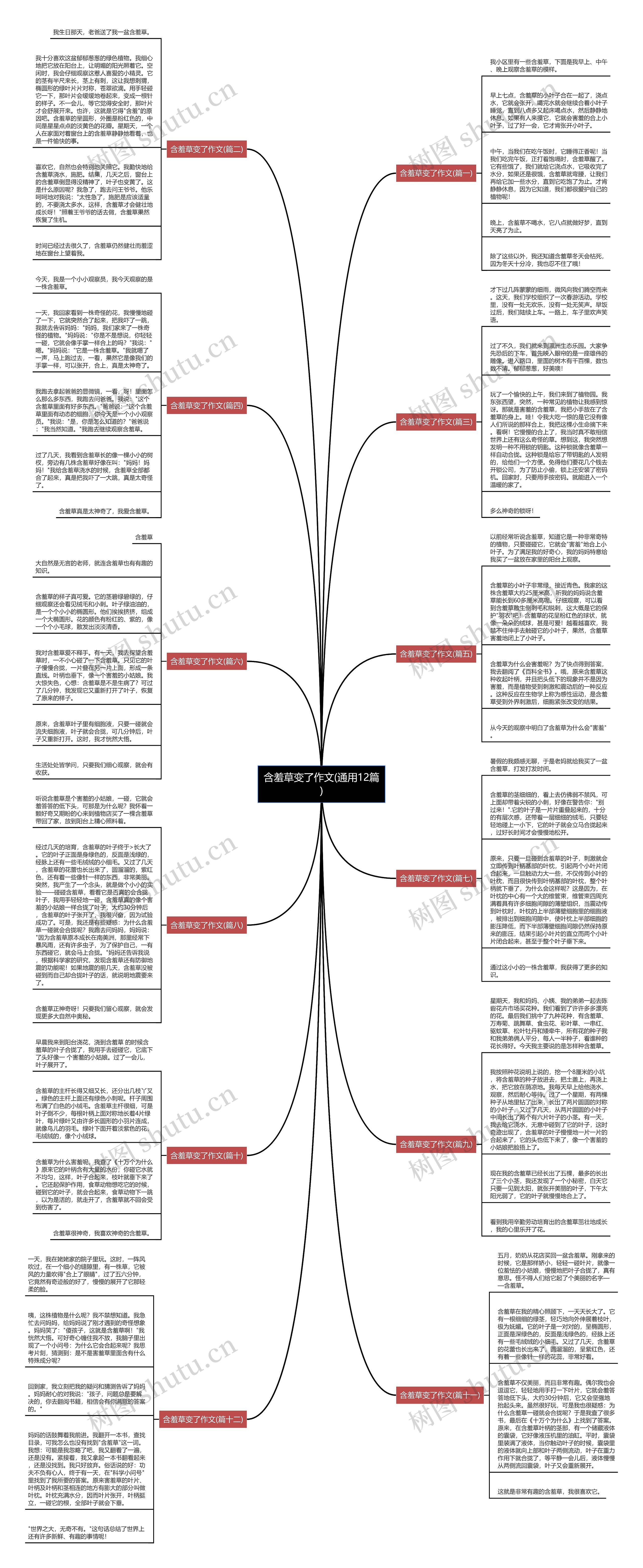 含羞草变了作文(通用12篇) 含羞草变了作文(通用12篇)