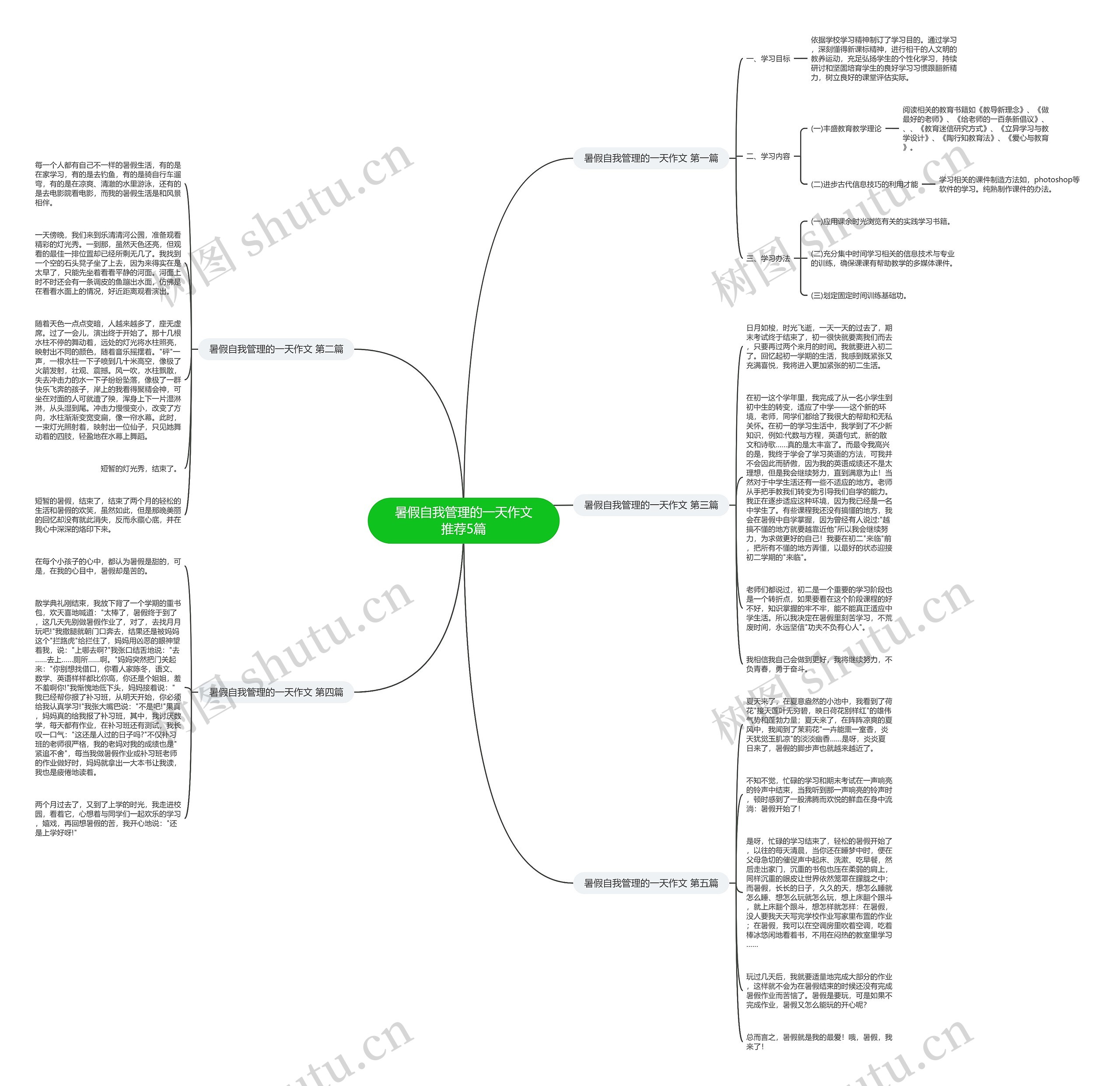 暑假自我管理的一天作文推荐5篇思维导图