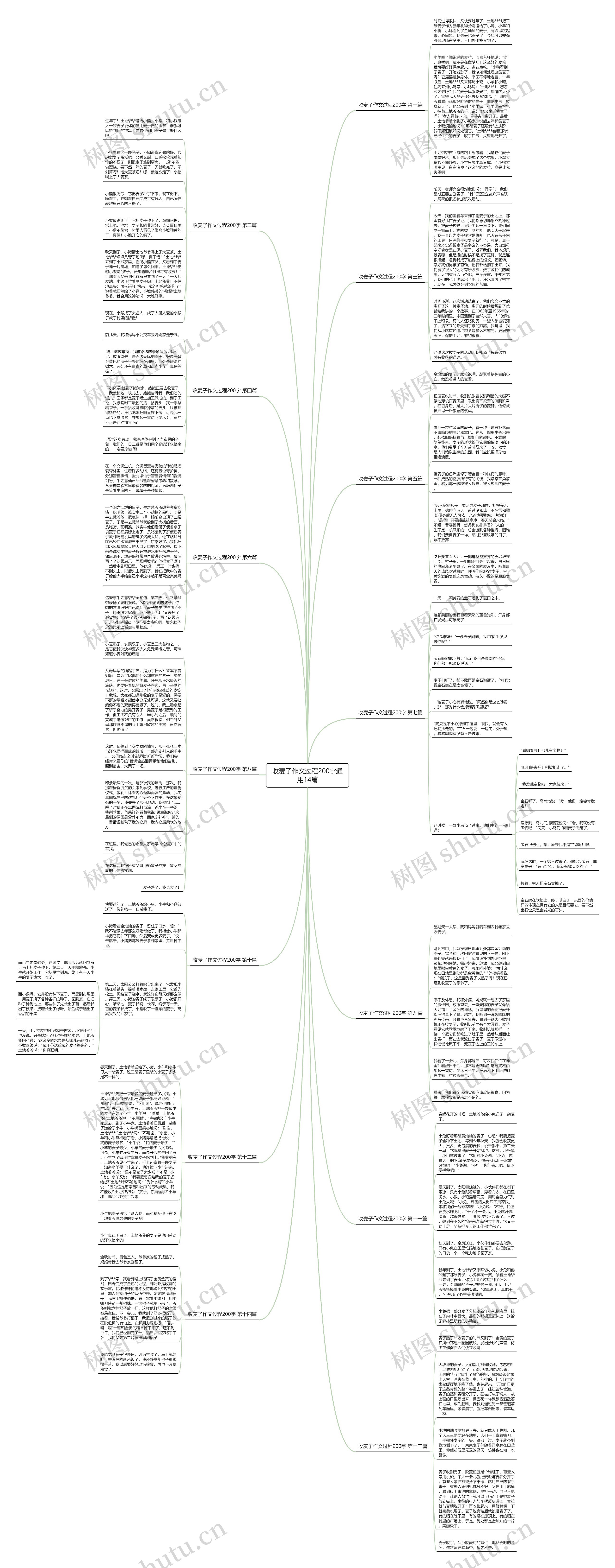 收麦子作文过程200字通用14篇思维导图