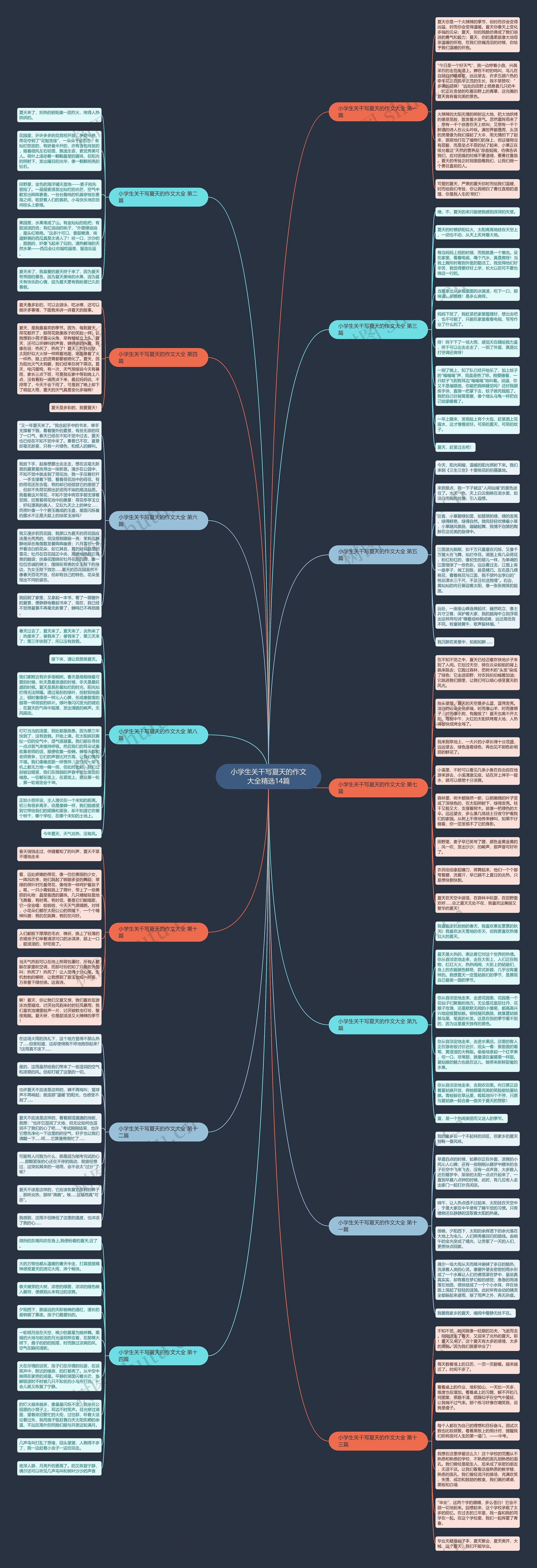 小学生关干写夏天的作文大全精选14篇思维导图