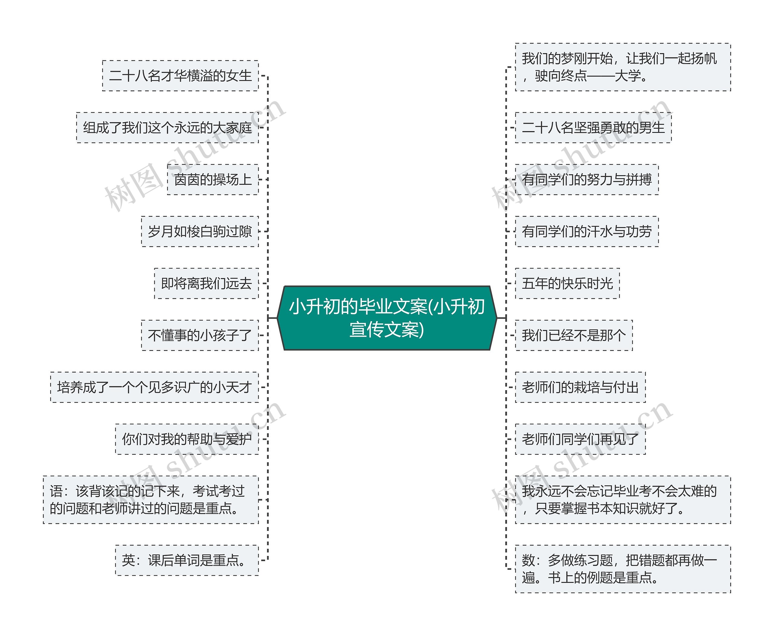 小升初的毕业文案(小升初宣传文案)思维导图