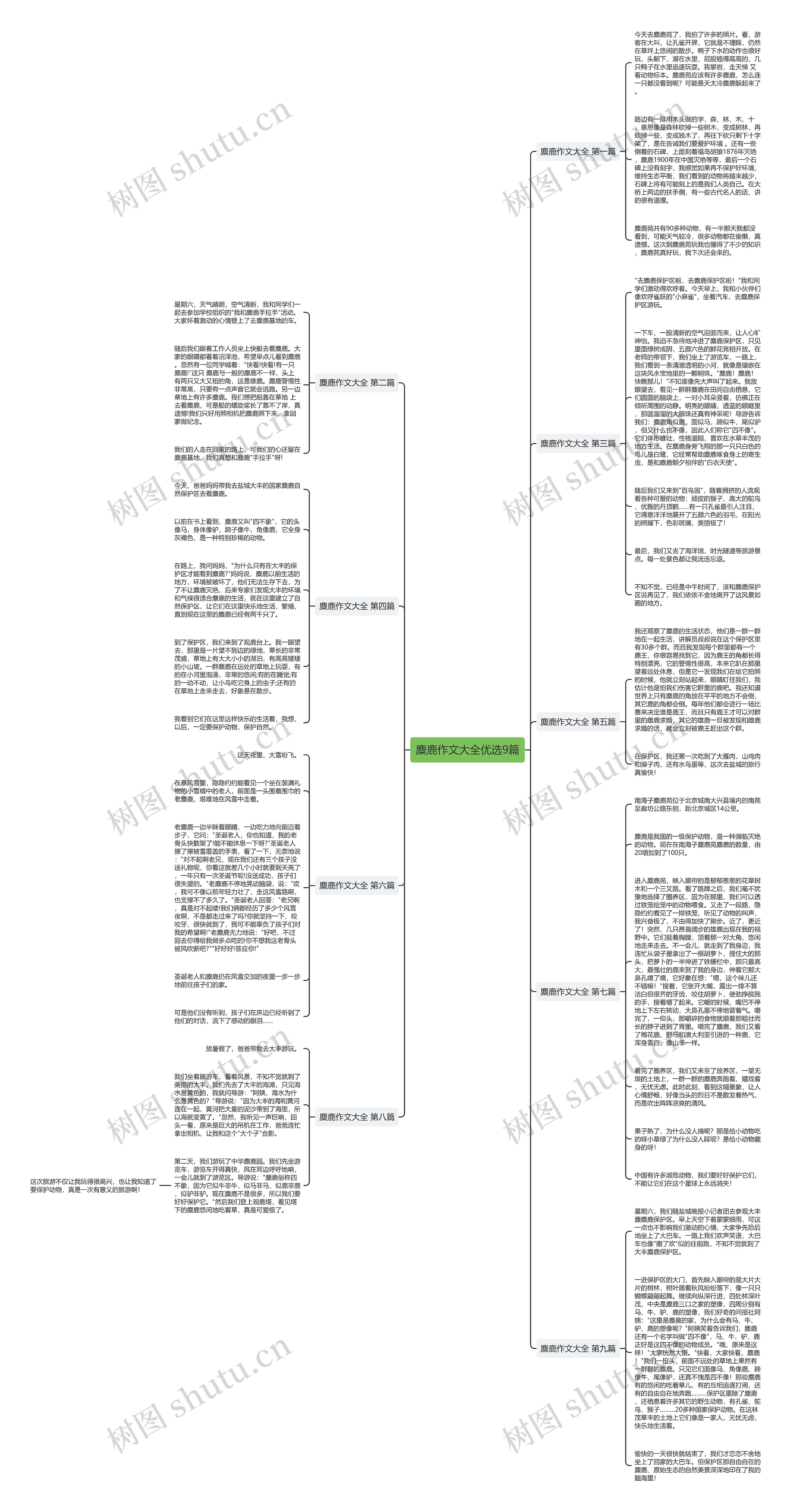 麋鹿作文大全优选9篇思维导图
