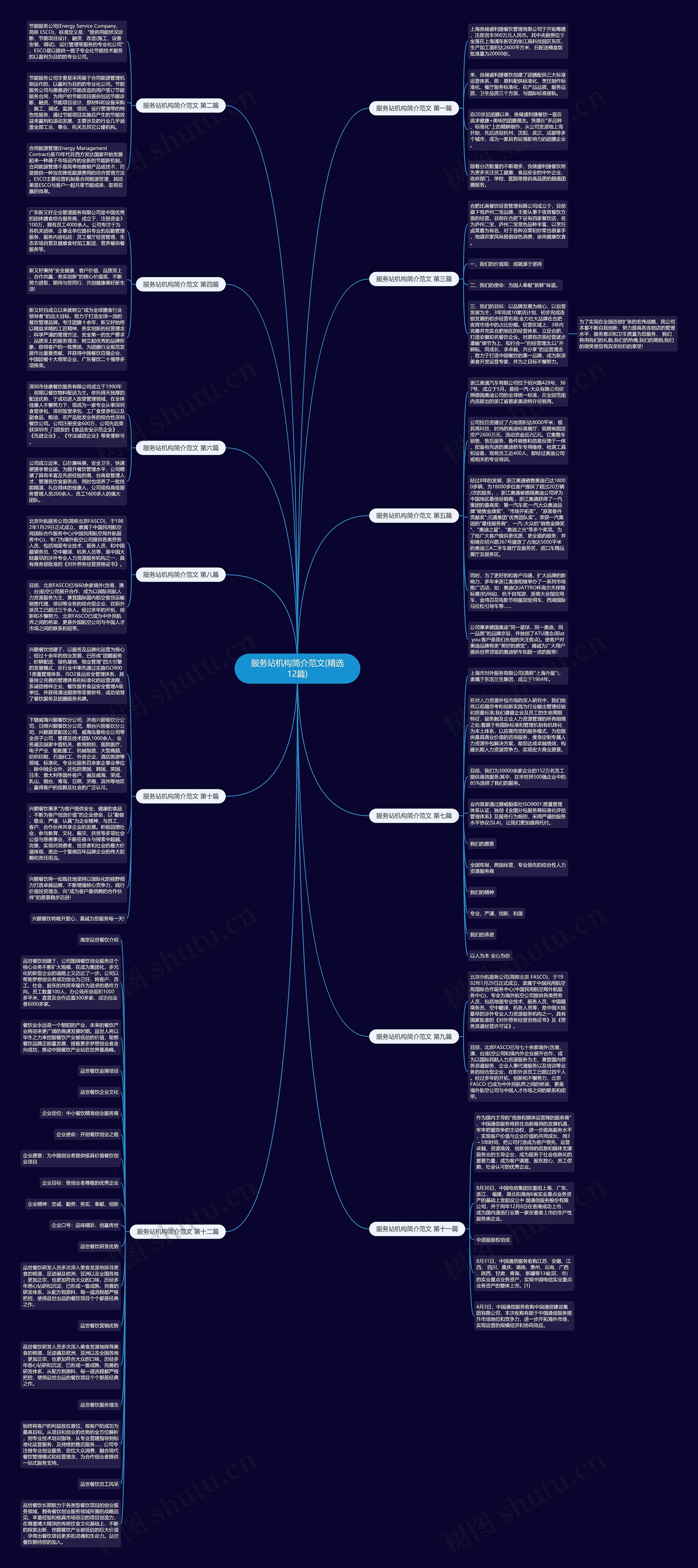 服务站机构简介范文(精选12篇)思维导图