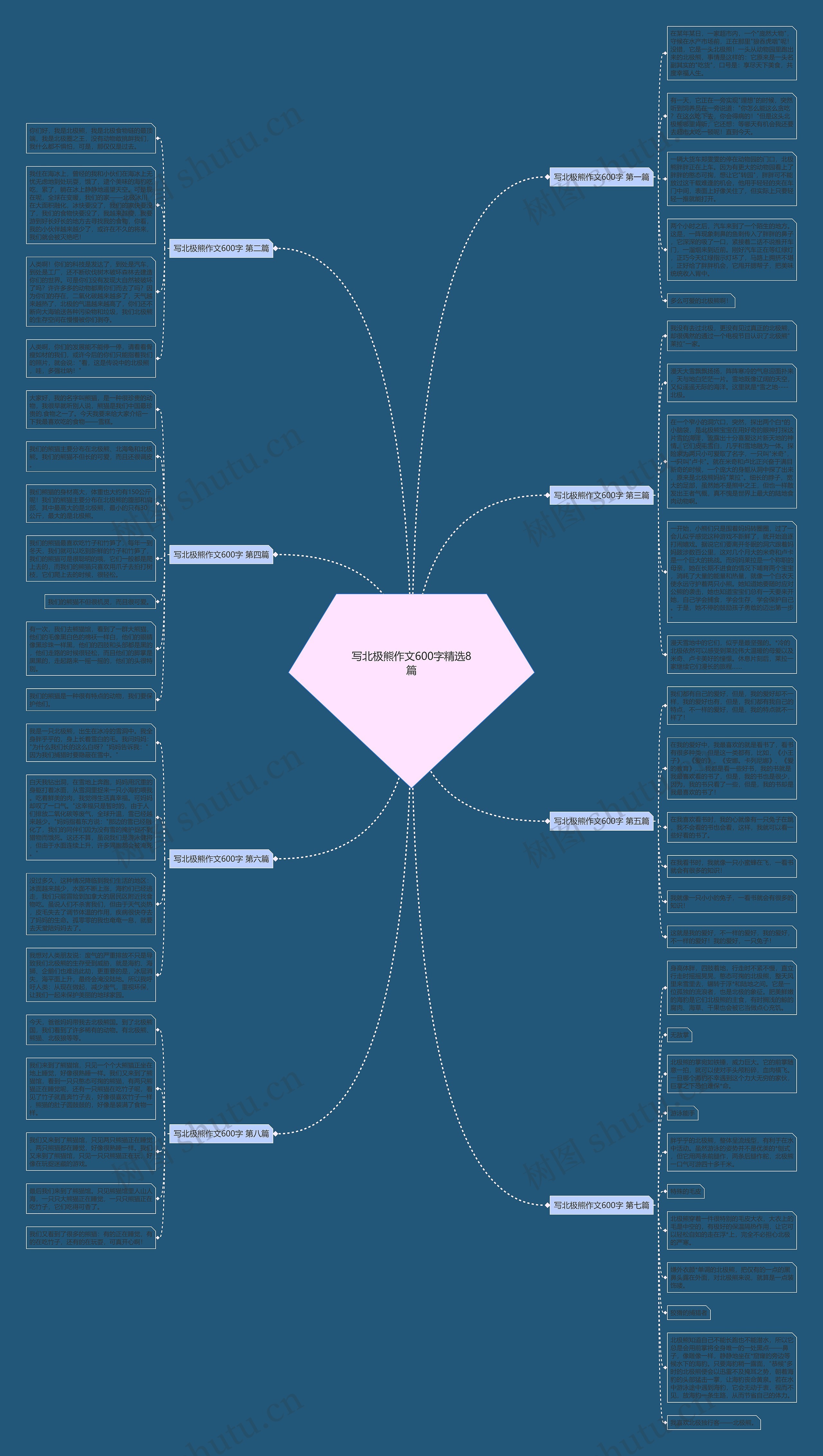 写北极熊作文600字精选8篇思维导图
