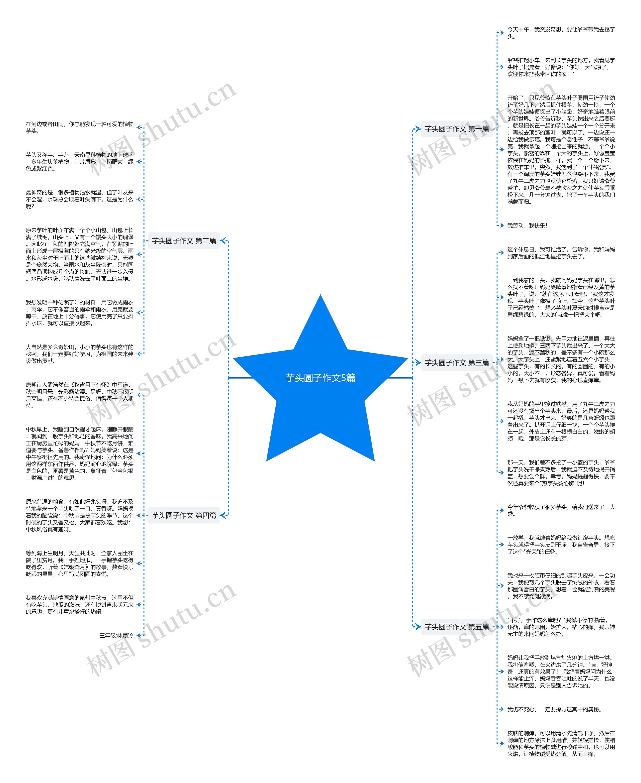 芋头圆子作文5篇 芋头圆子作文5篇