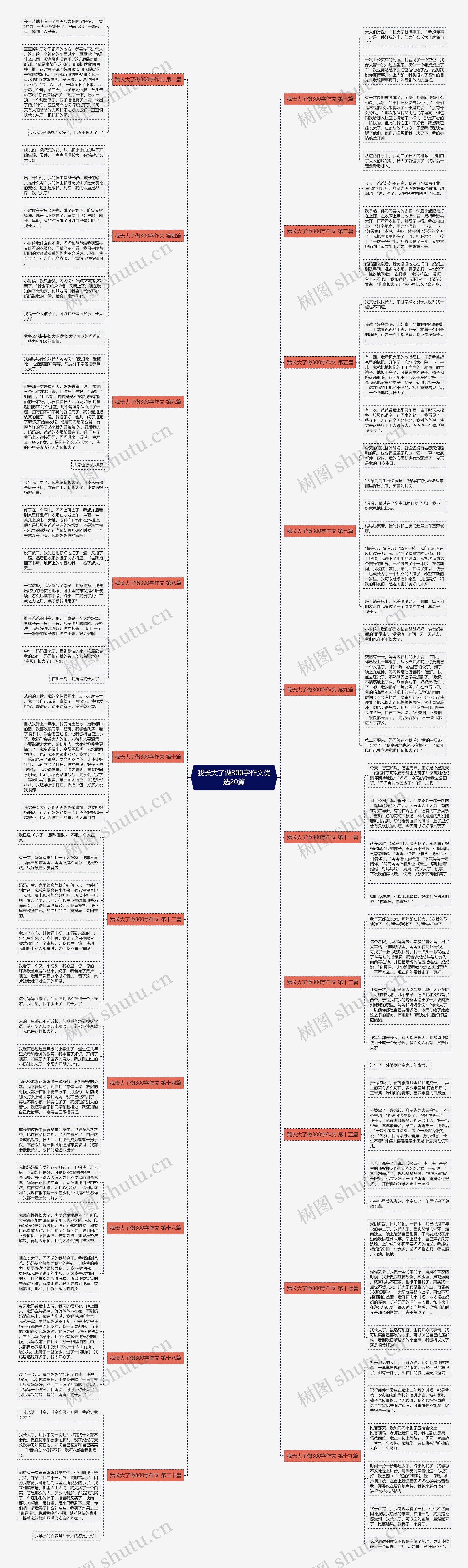 我长大了做300字作文优选20篇思维导图